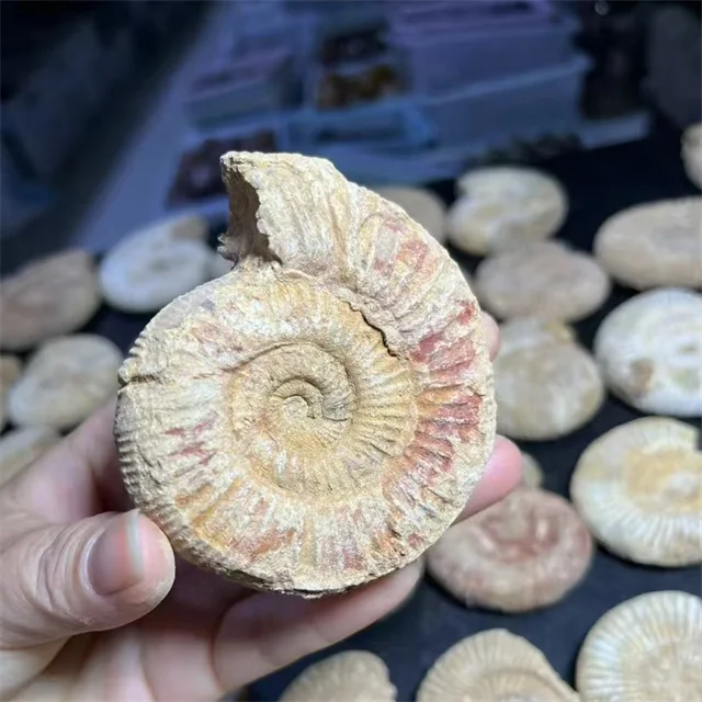 Wholesale Sisterstone Jiangsu Mineral Crystals Healing Stones - Specimen Home Art