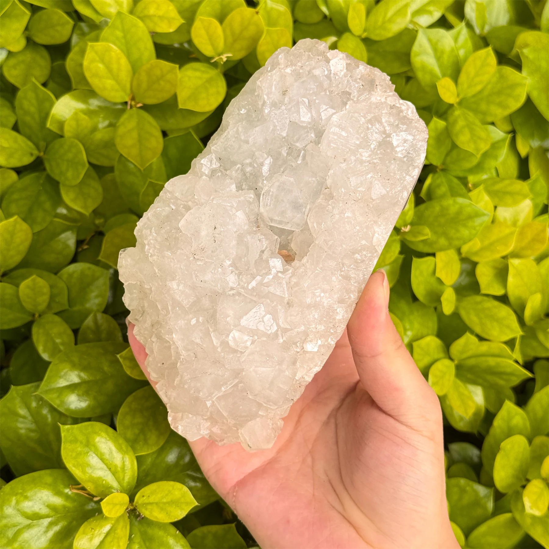 Apophyllite Fossil Natural Specimen Crystal Mineral Cluster - Rare Green Mineral Art