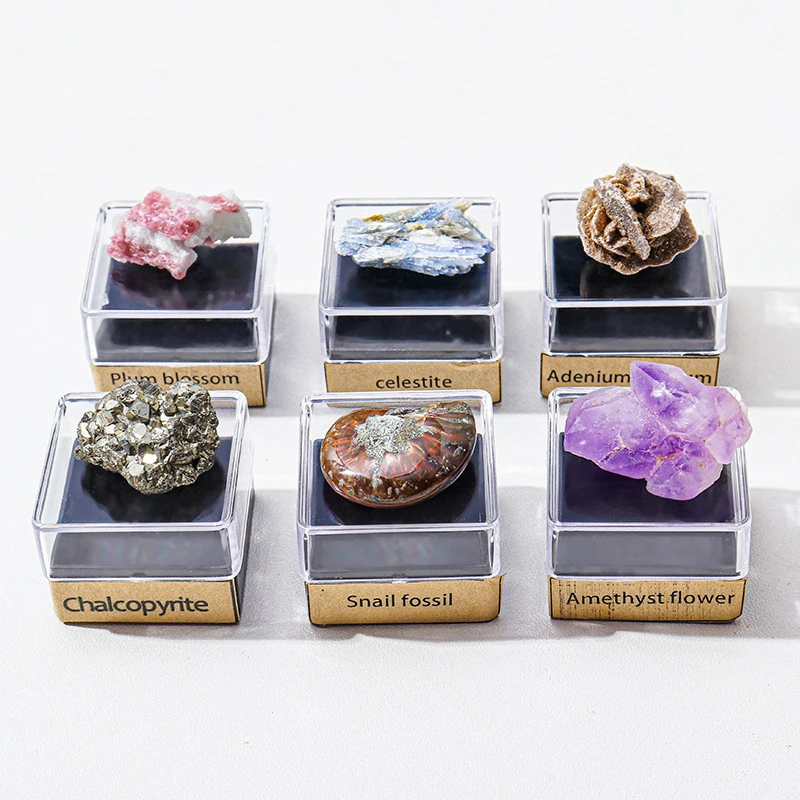 New Arrival Natural Mineral Specimen Set - Healing Stone Crystals Amethyst Collection
