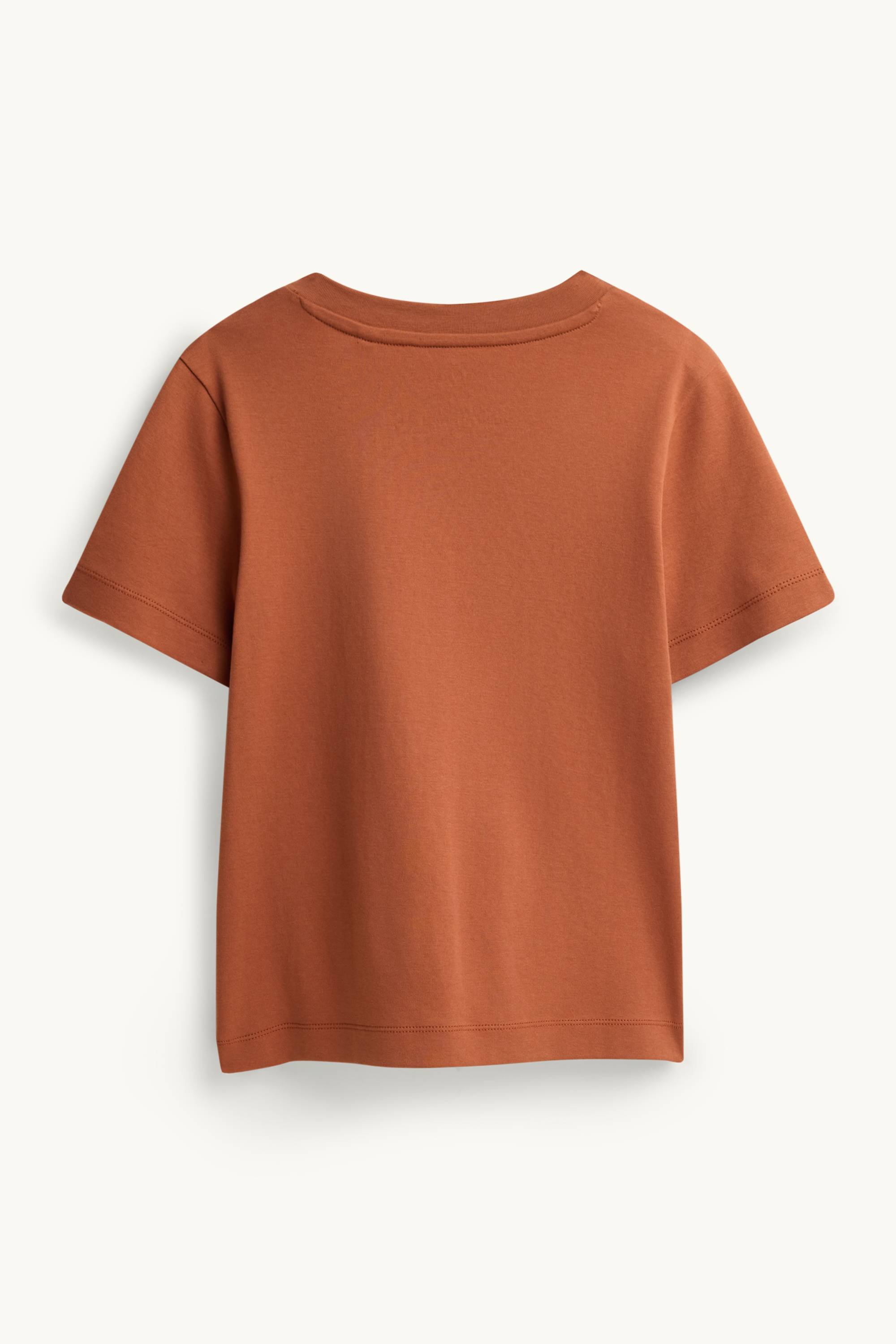 V-neck T-shirt - slim fit brown