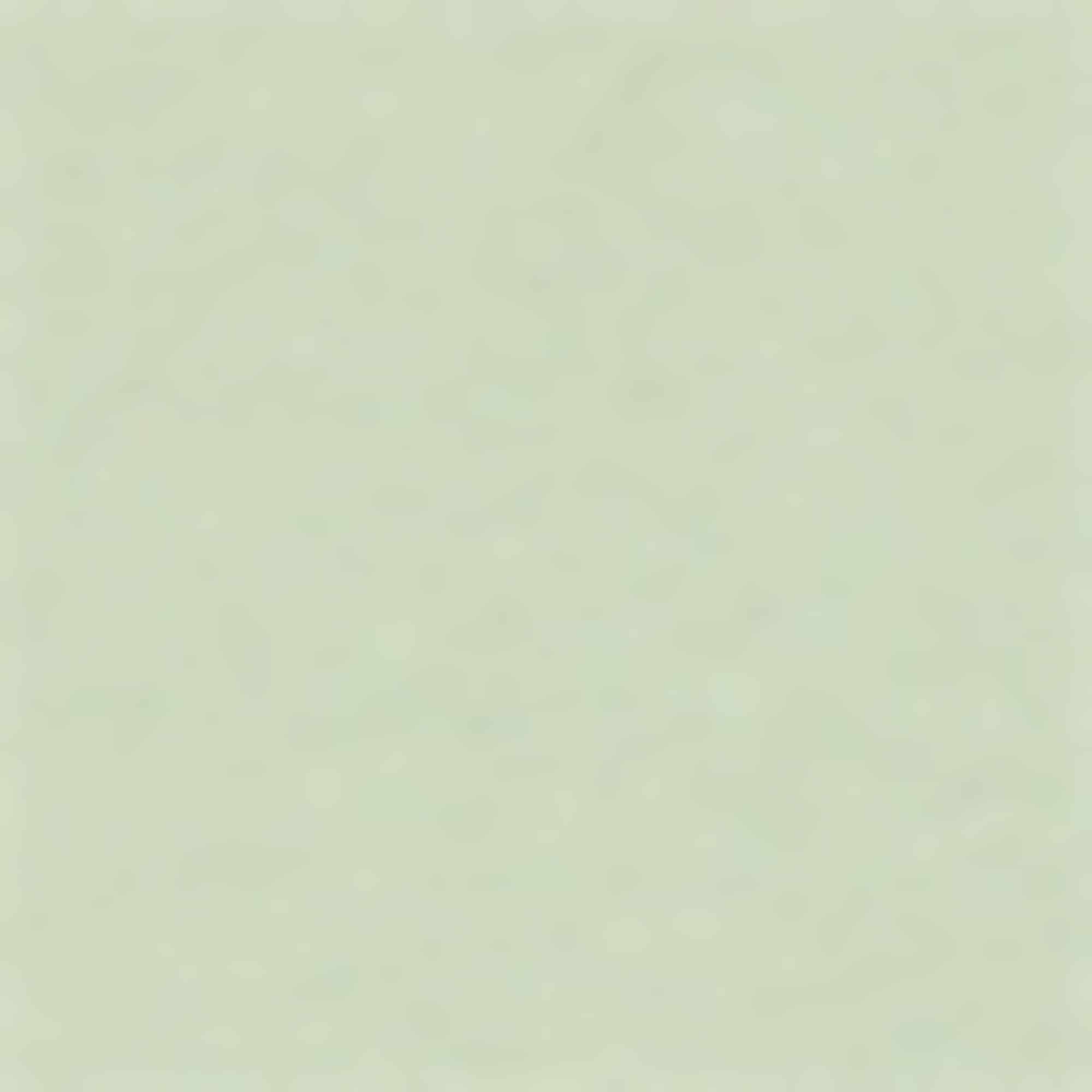 T-shirt - oversized light green