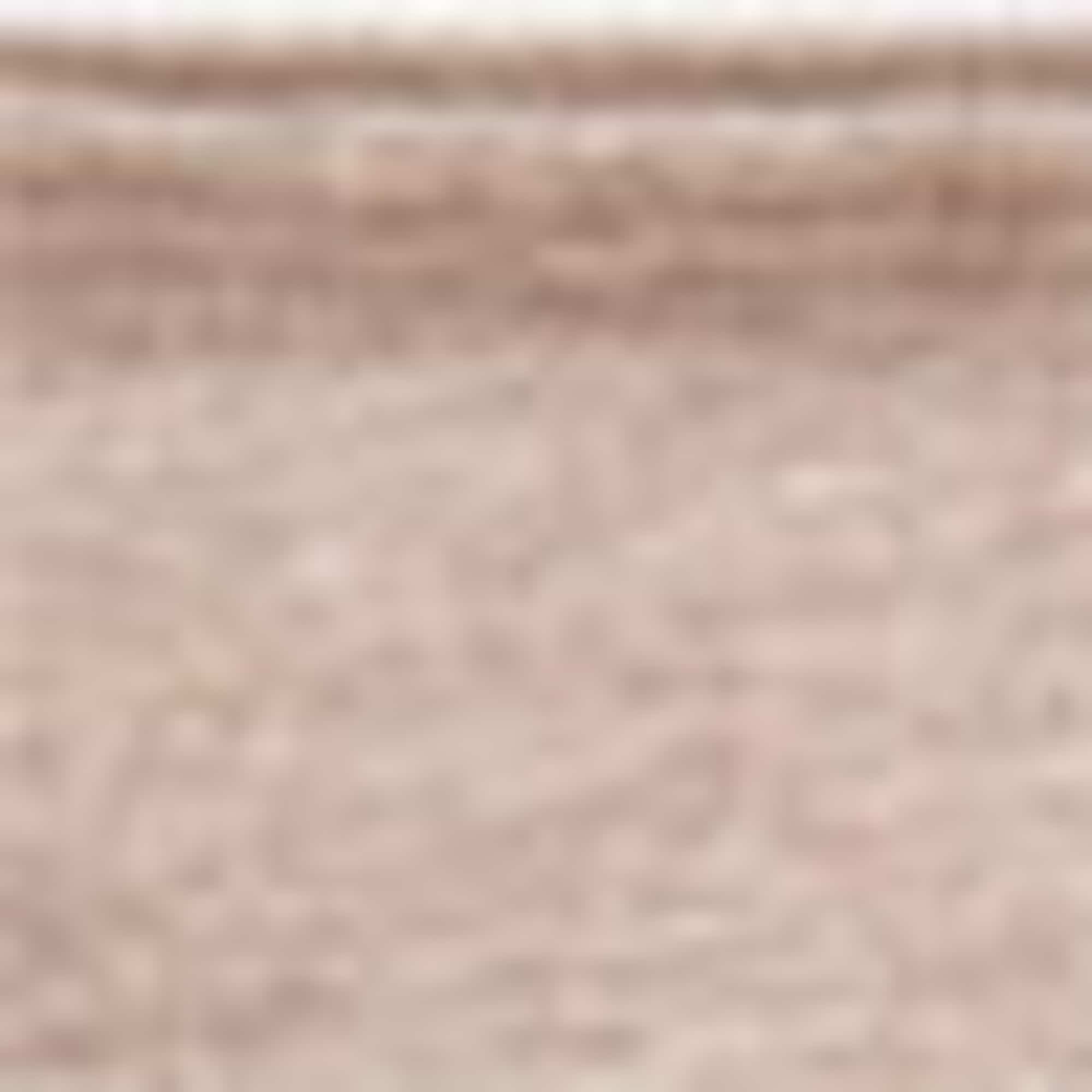 Multipack of 3 - knickers rose / beige