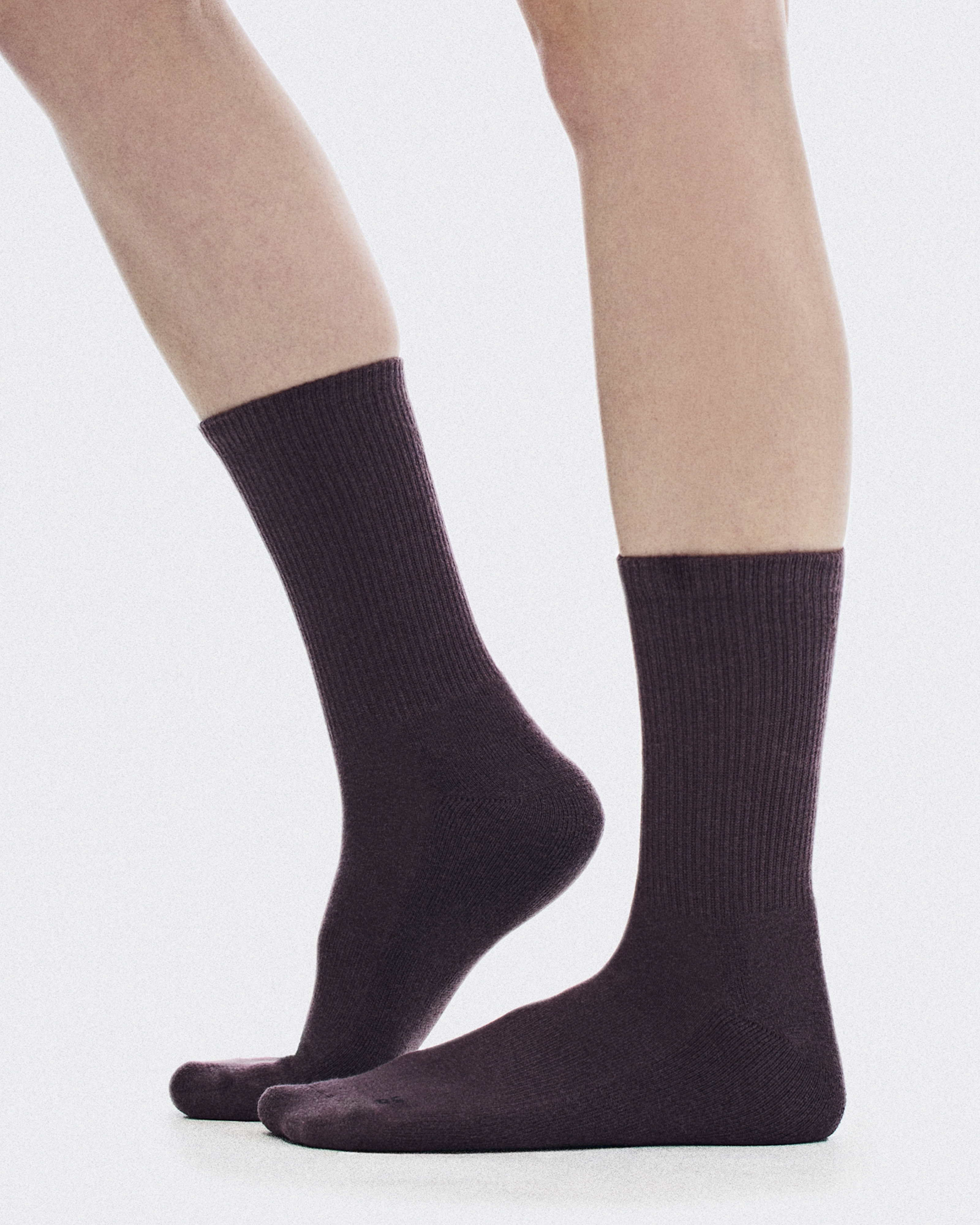 Club Sock High 2P - Urchin