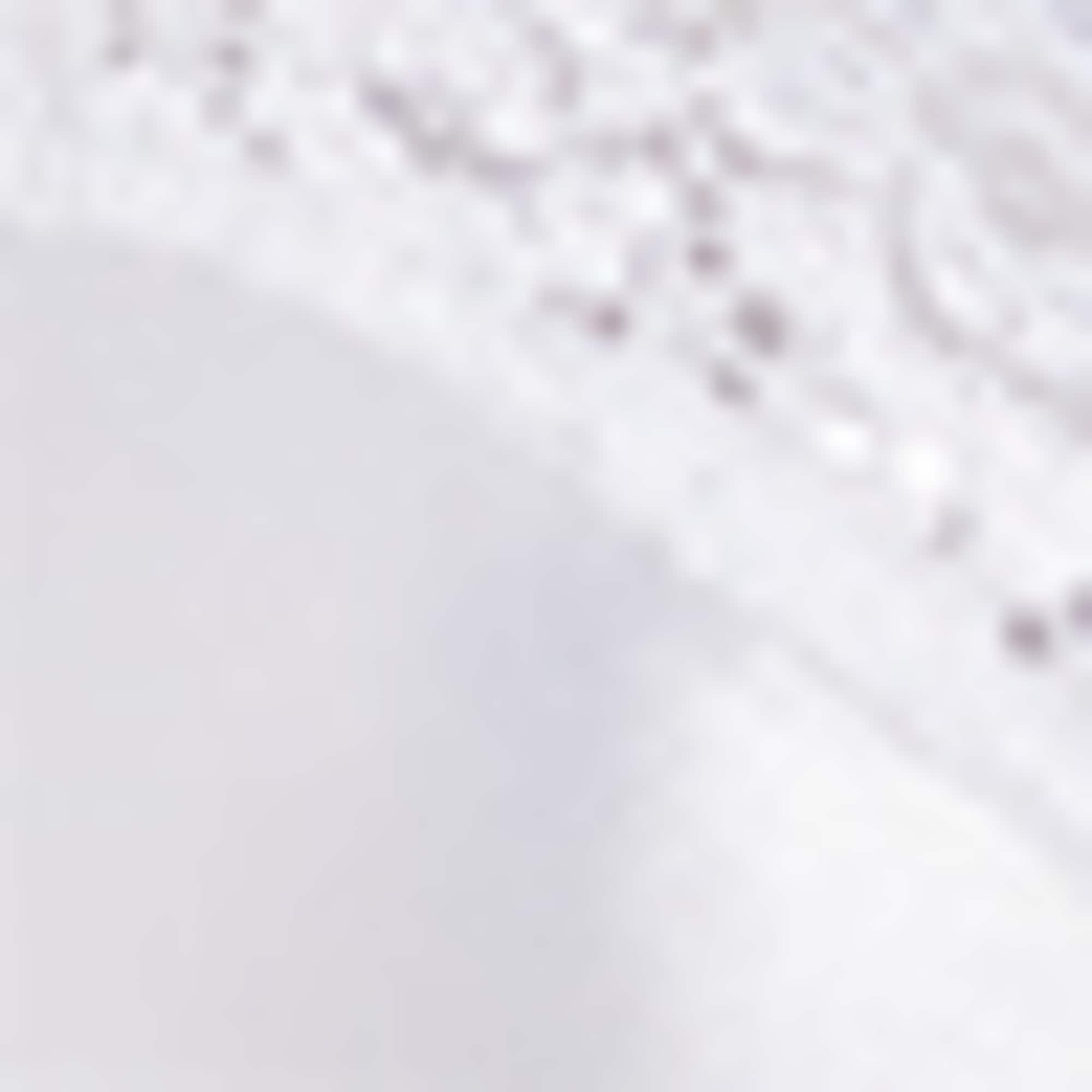 Multipack of 2 - underwire bra - LYCRA® white