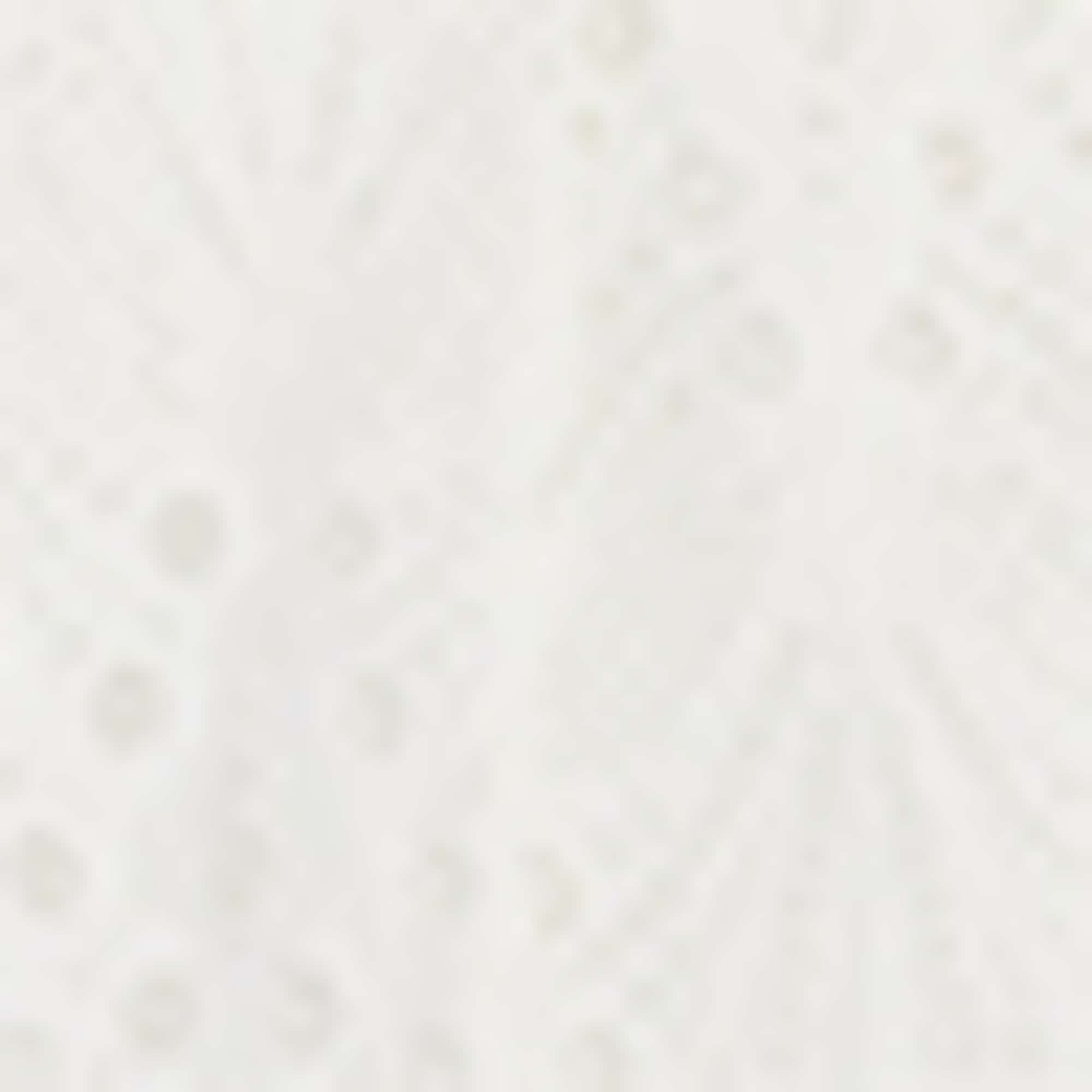 Long blazer - regular fit - broderie anglaise cremewhite