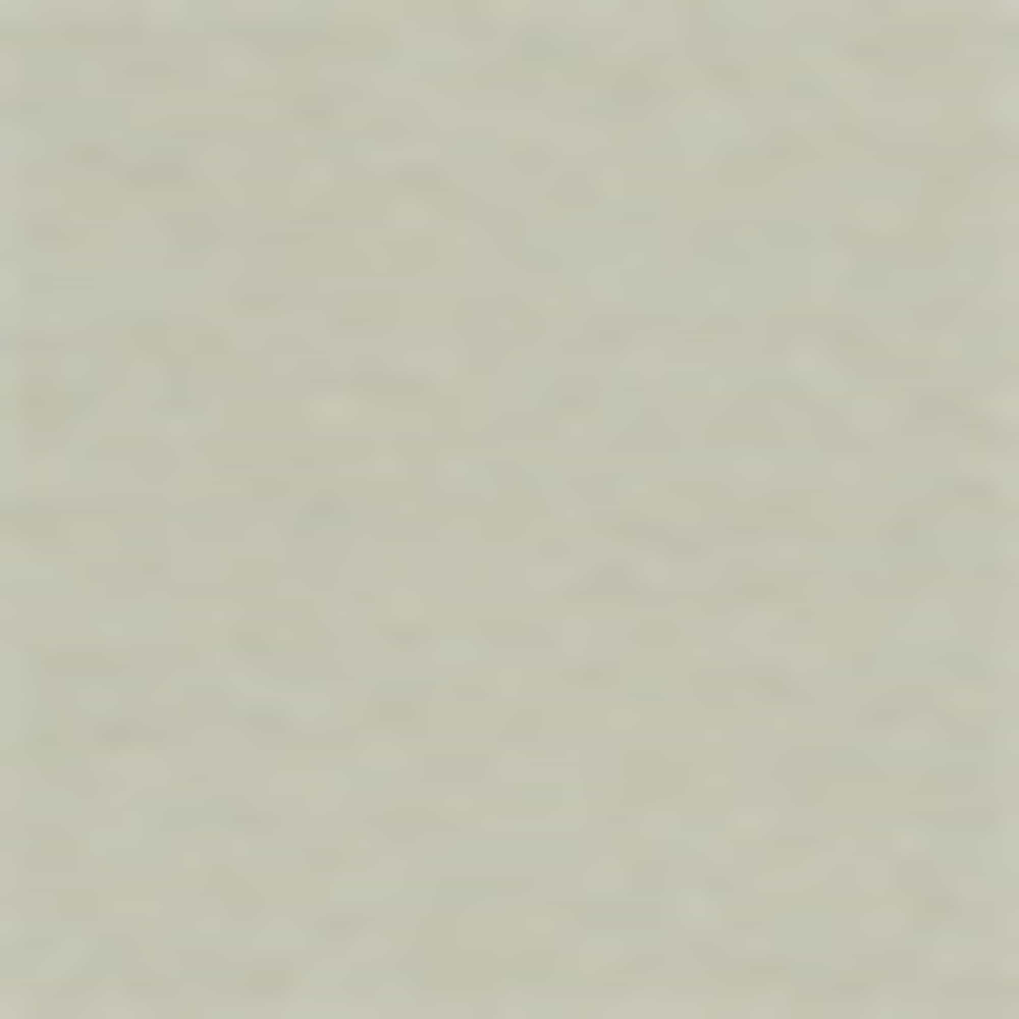 T-shirt - regular fit light green (1)