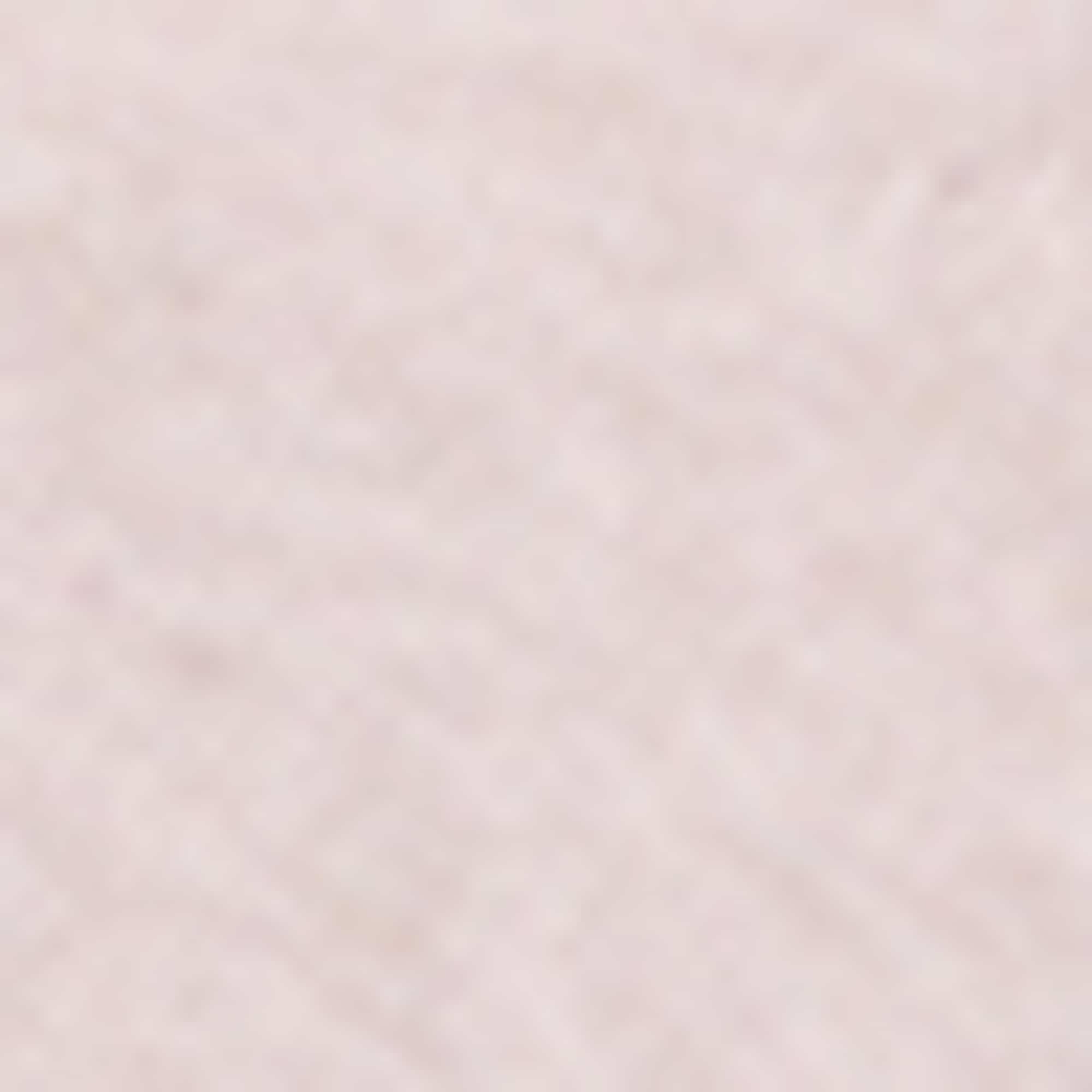 Multipack of 5 - trainer socks rose