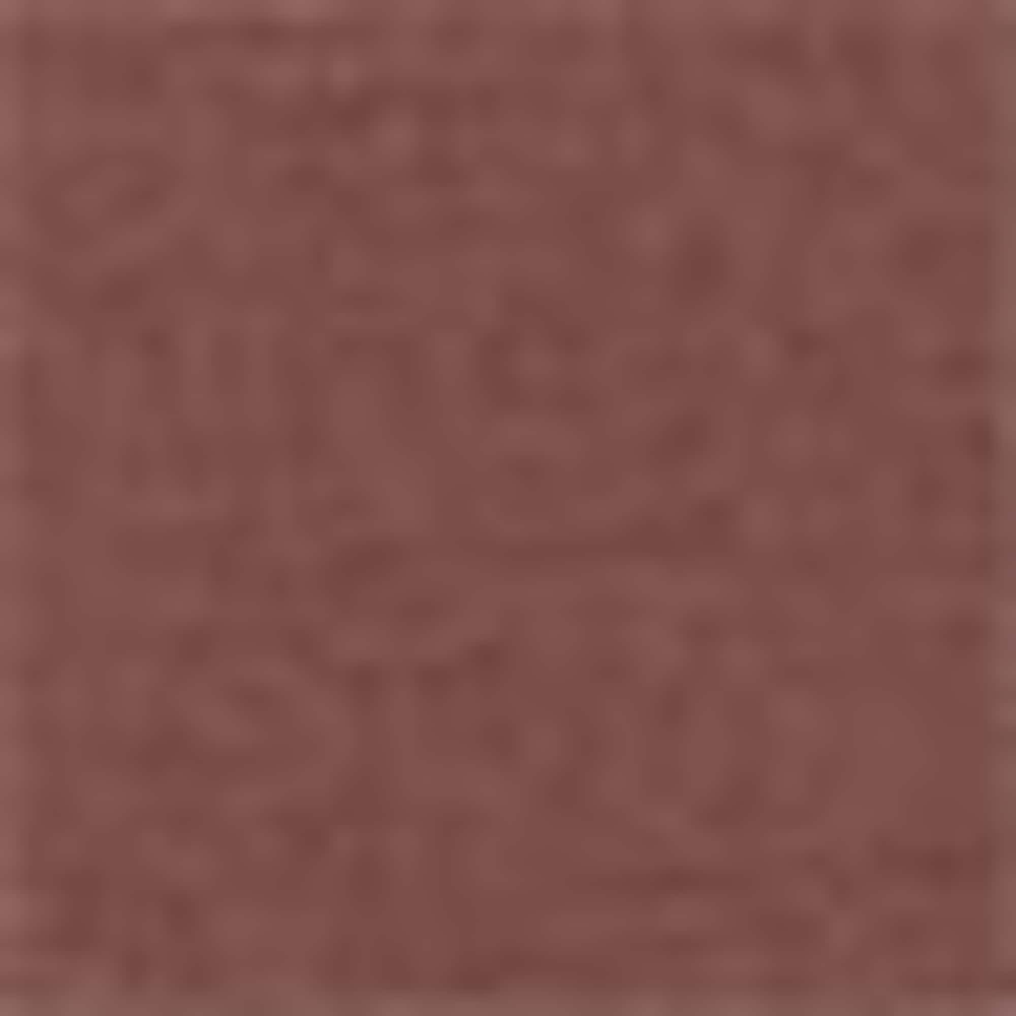 T-shirt - regular fit brown