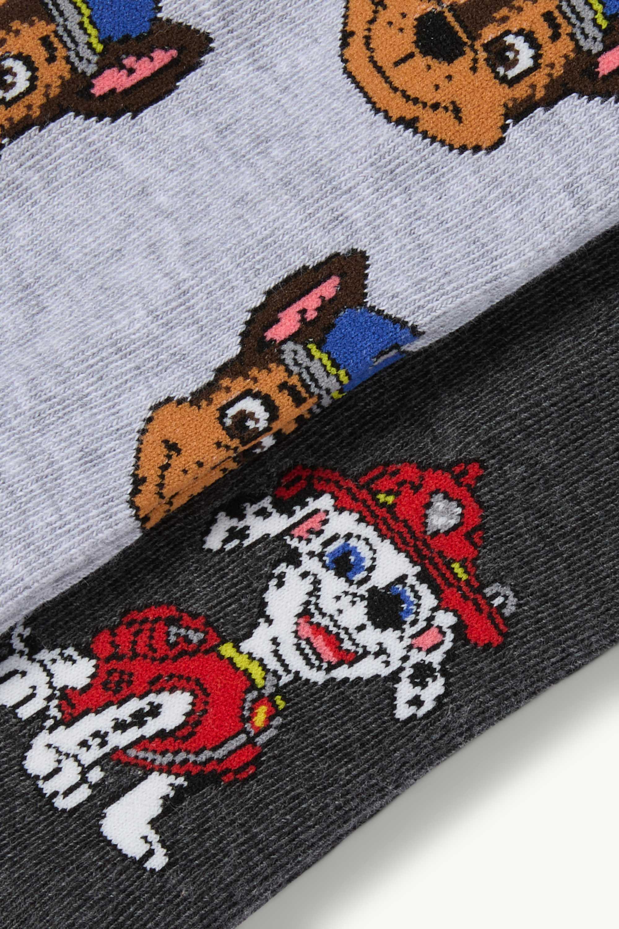 Multipack of 2 - PAW Patrol - Chase, Marshall - tights light gray-melange