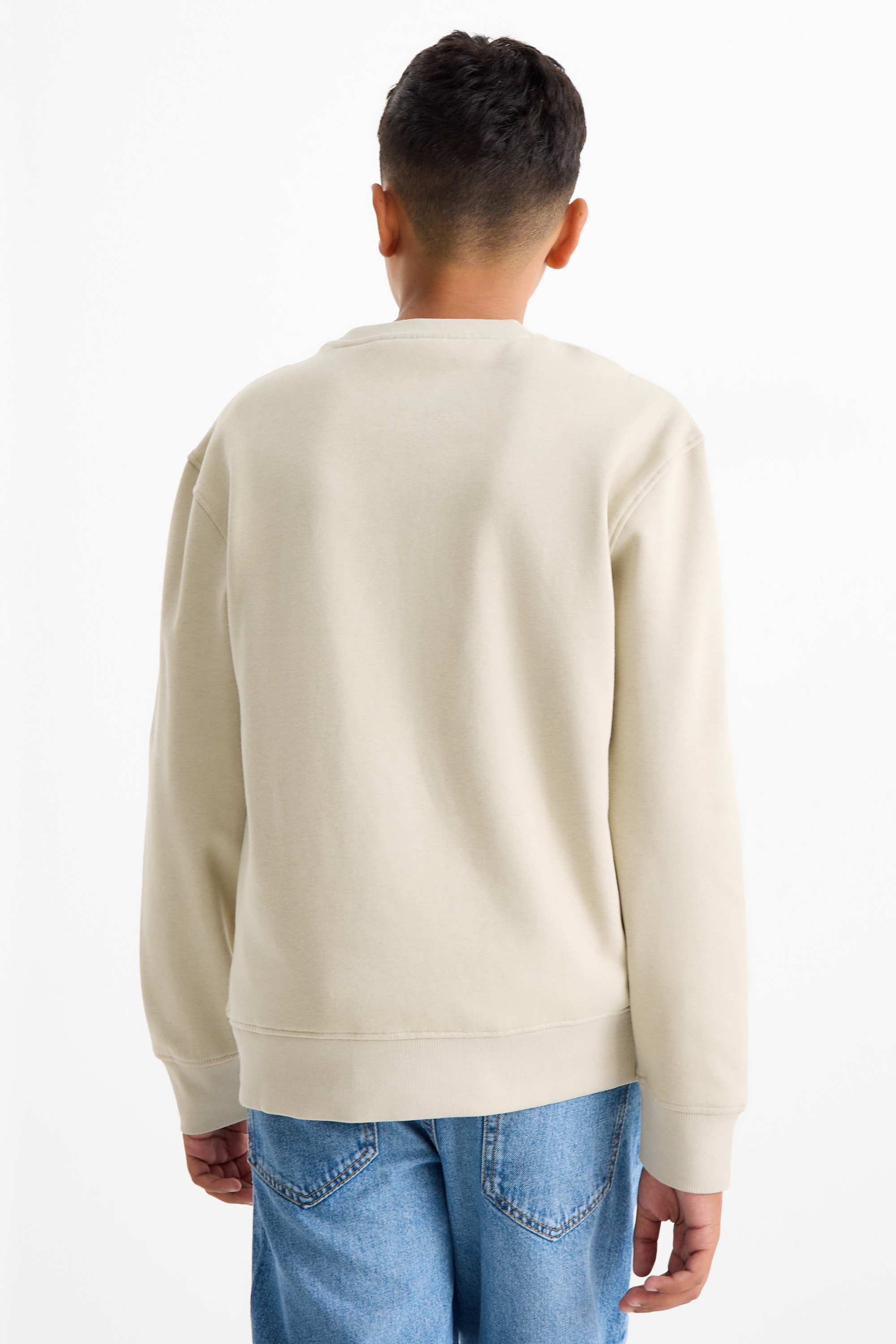 Multipack of 2 - Minecraft - hoodie and sweatshirt khaki