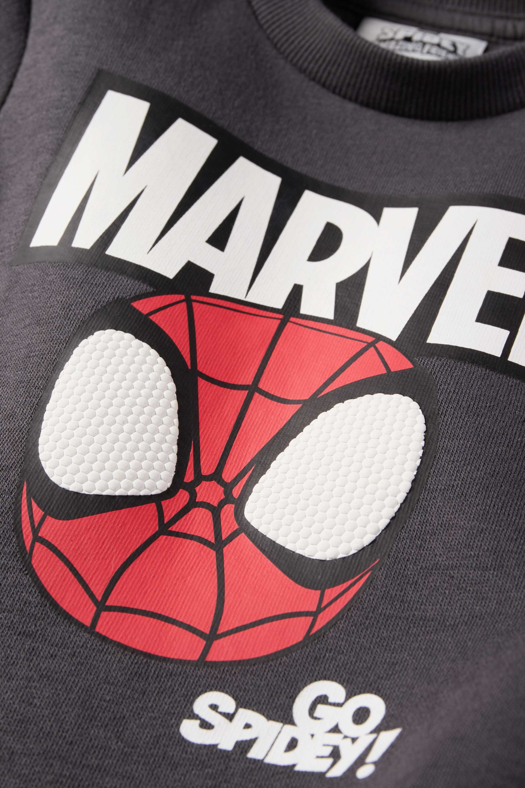 Spidey and his Super Friends - sweatshirt dark gray