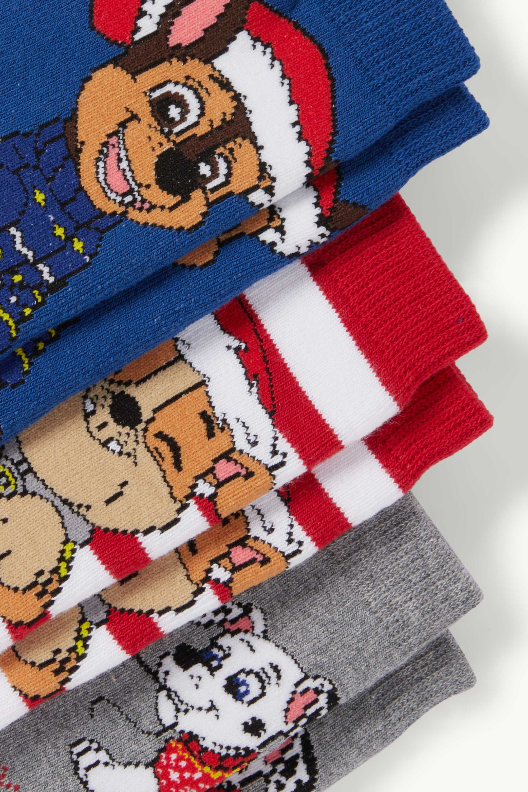 Multipack of 3 - PAW Patrol - Chase - warm Christmas socks red / dark blue