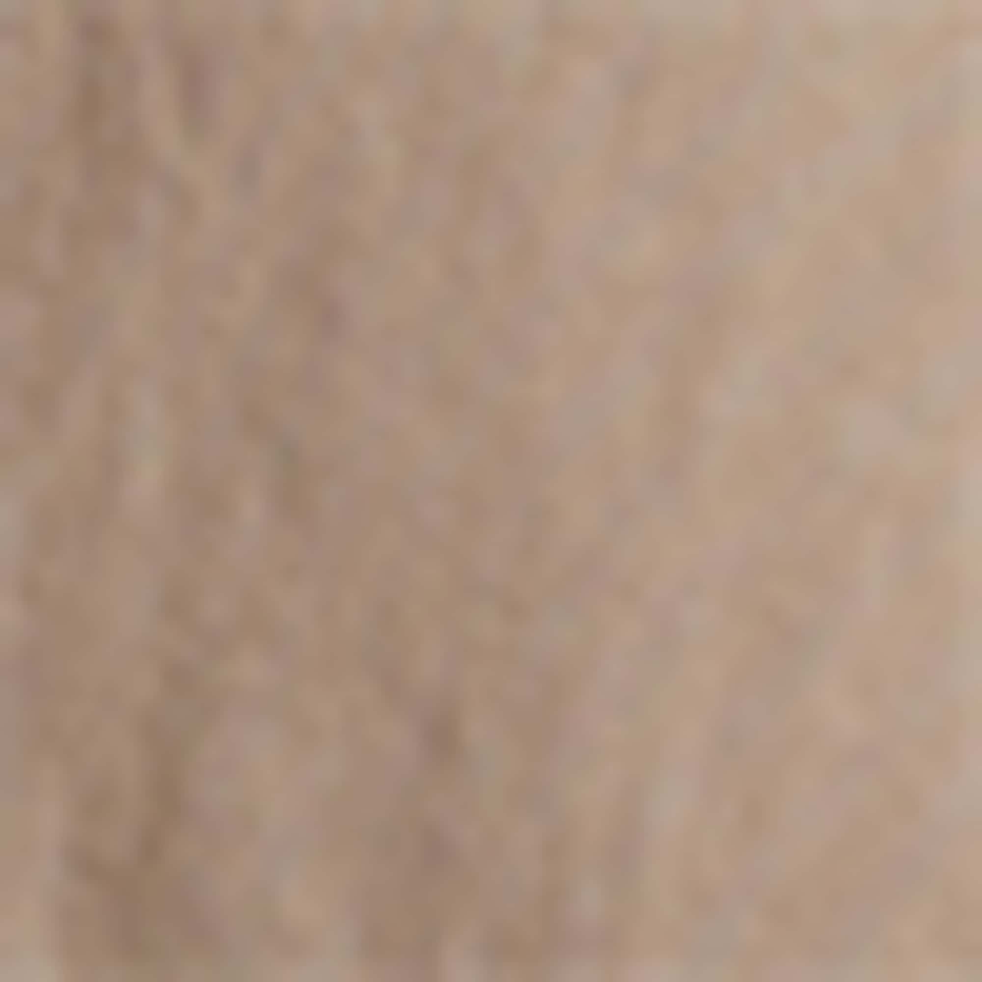 Multipack of 2 - cargo Bermuda shorts light brown