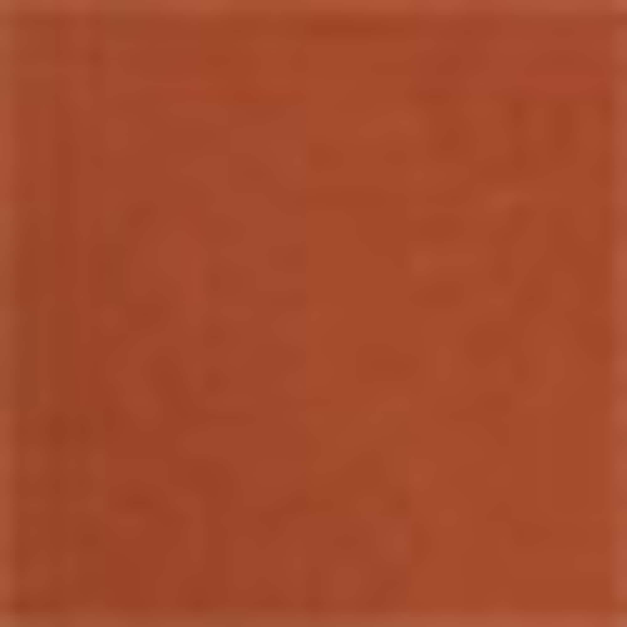 Basic Bermuda shorts - mid-rise waist brown