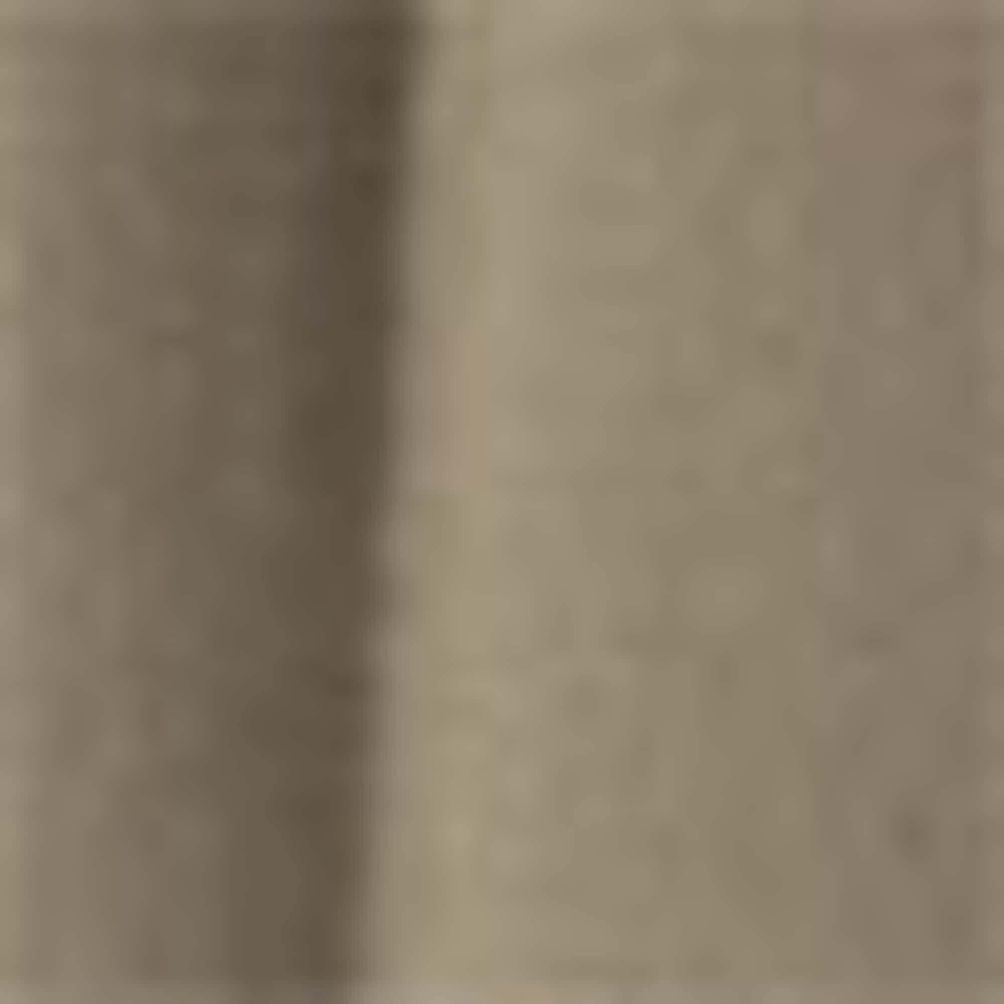 Cloth trousers - high waist - wide leg khaki