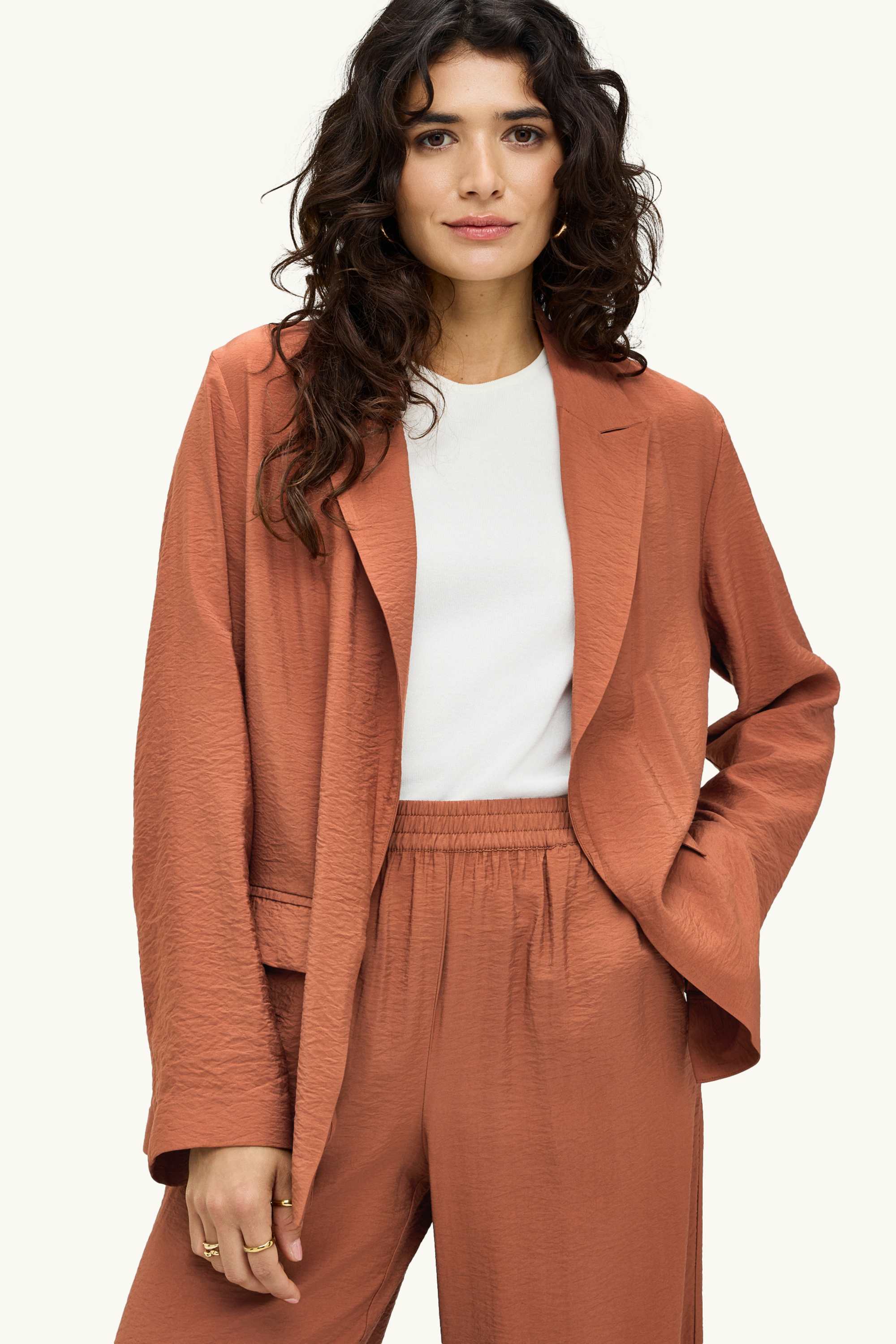 Business blazer - regular fit brown