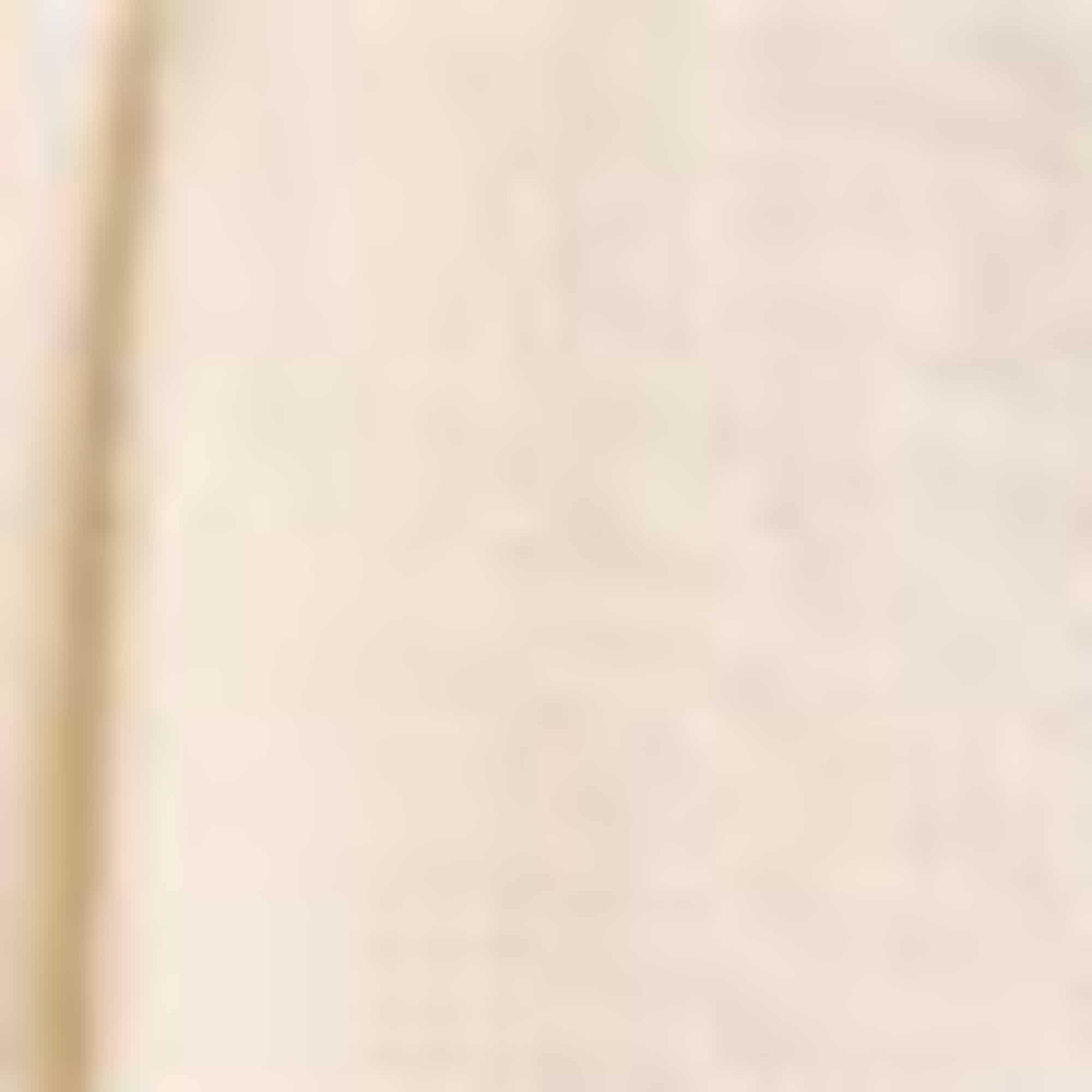 Shorts - high waist creme