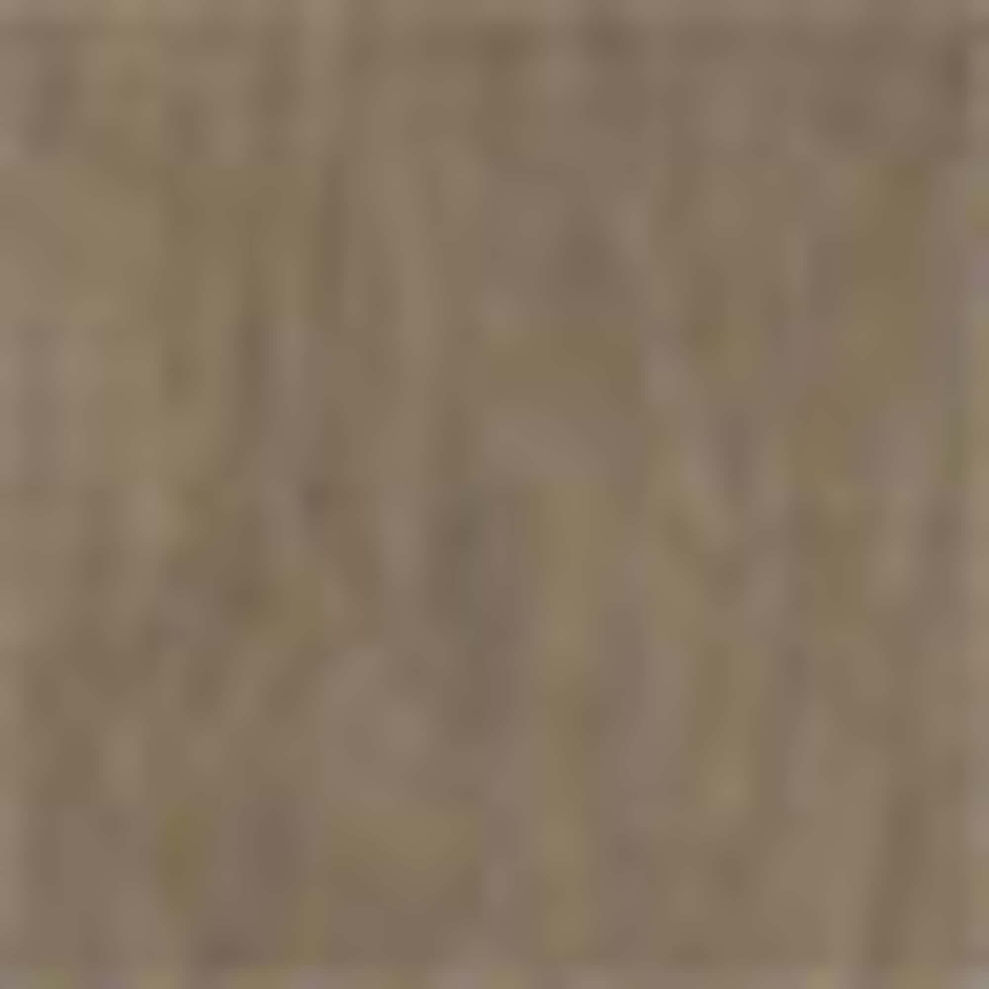 Cargo trousers brown