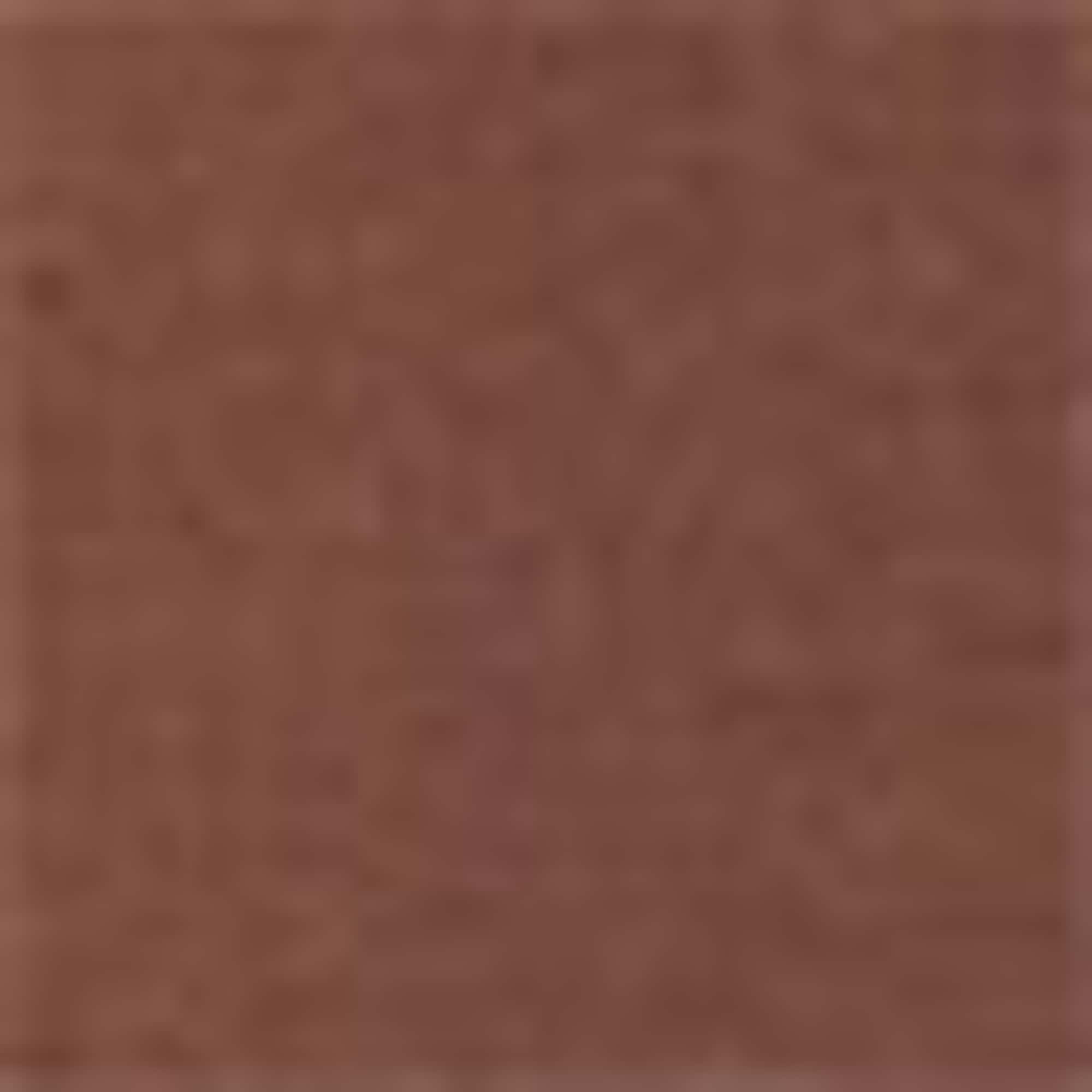 T-shirt - relaxed fit brown