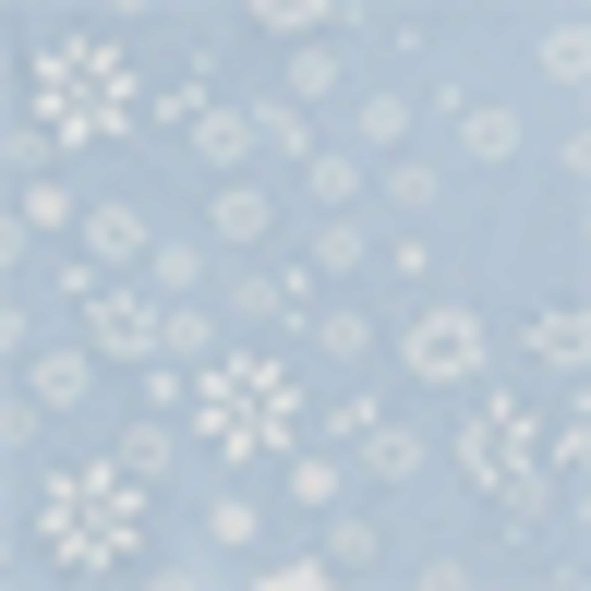 Multipack of 4 - hipsters blue / white