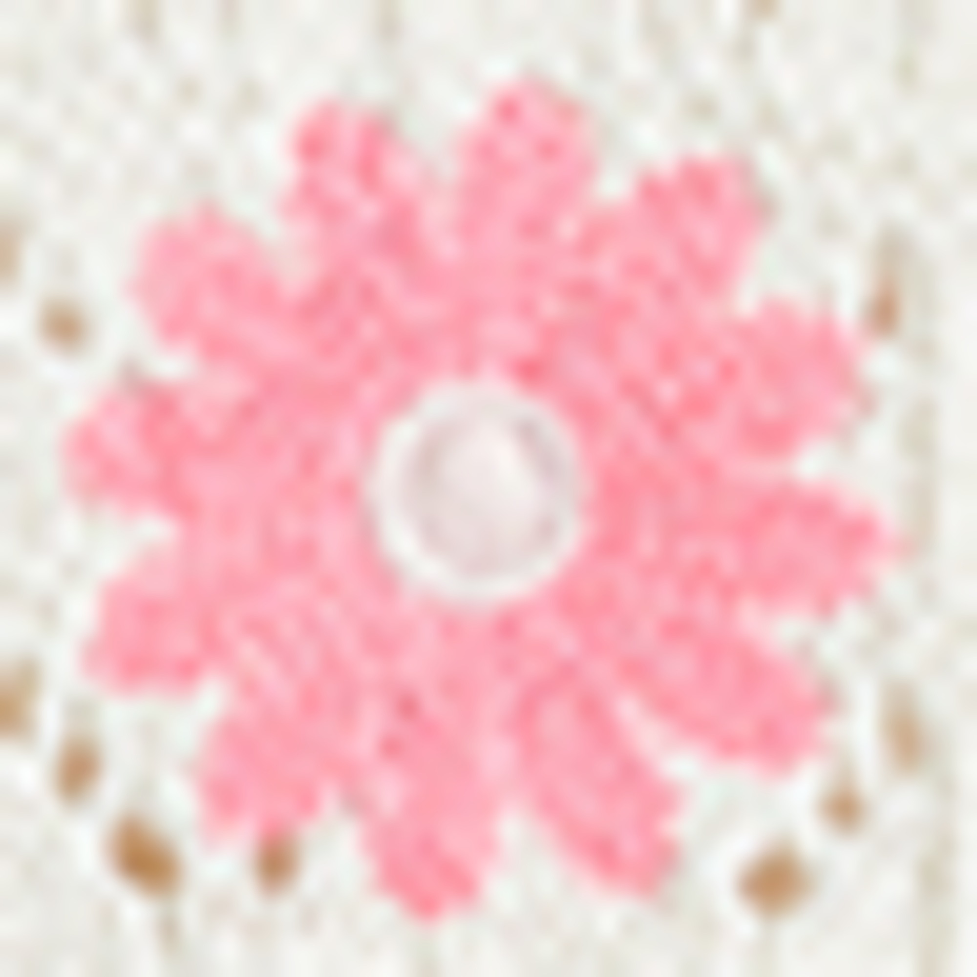 Floral - crocheted top white / rose