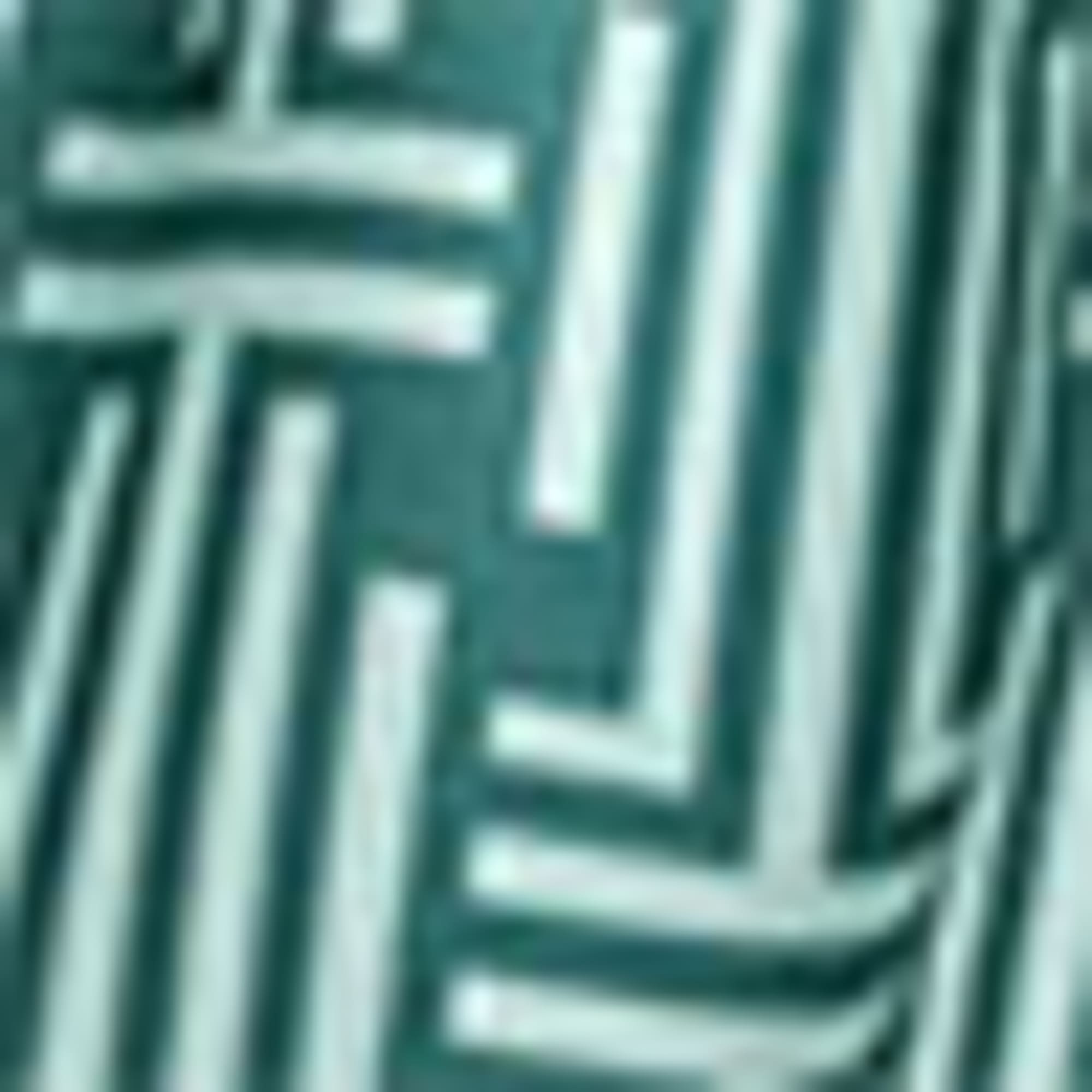 Swim shorts - patterned green