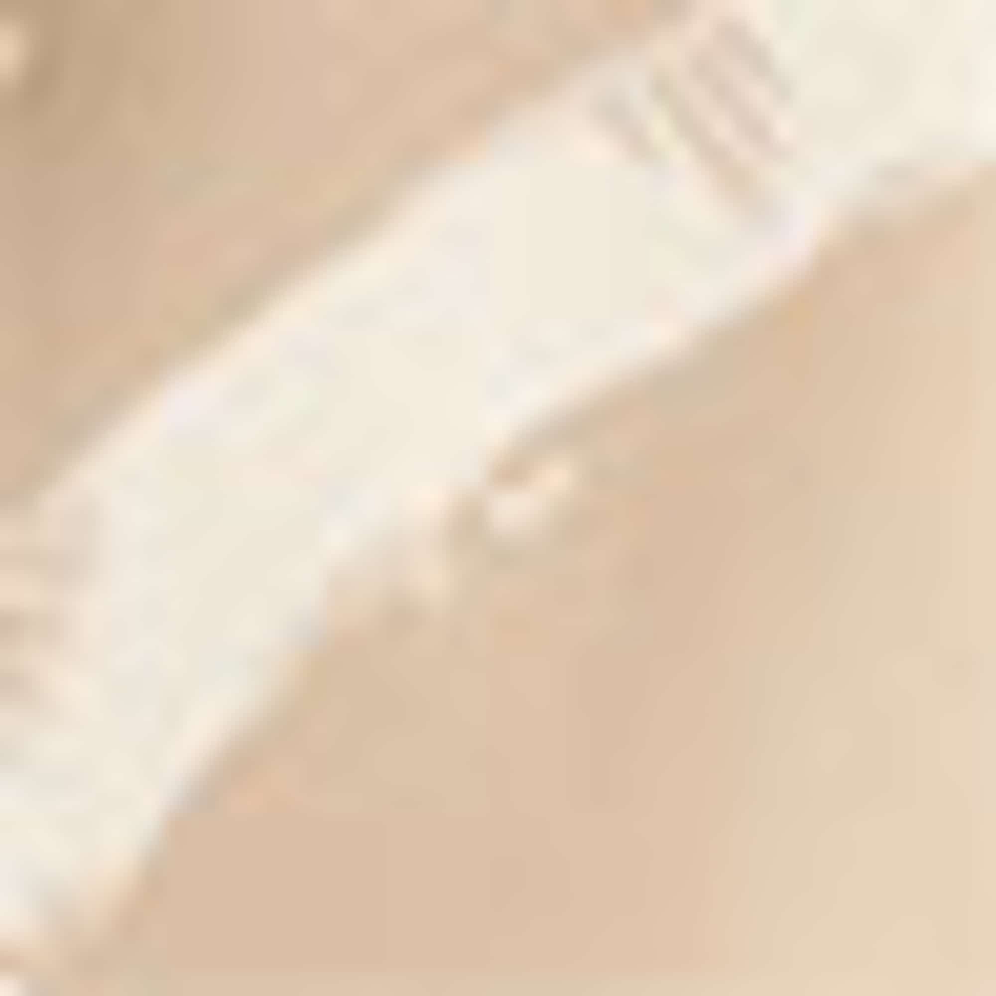 Mini Me - men's swim shorts beige