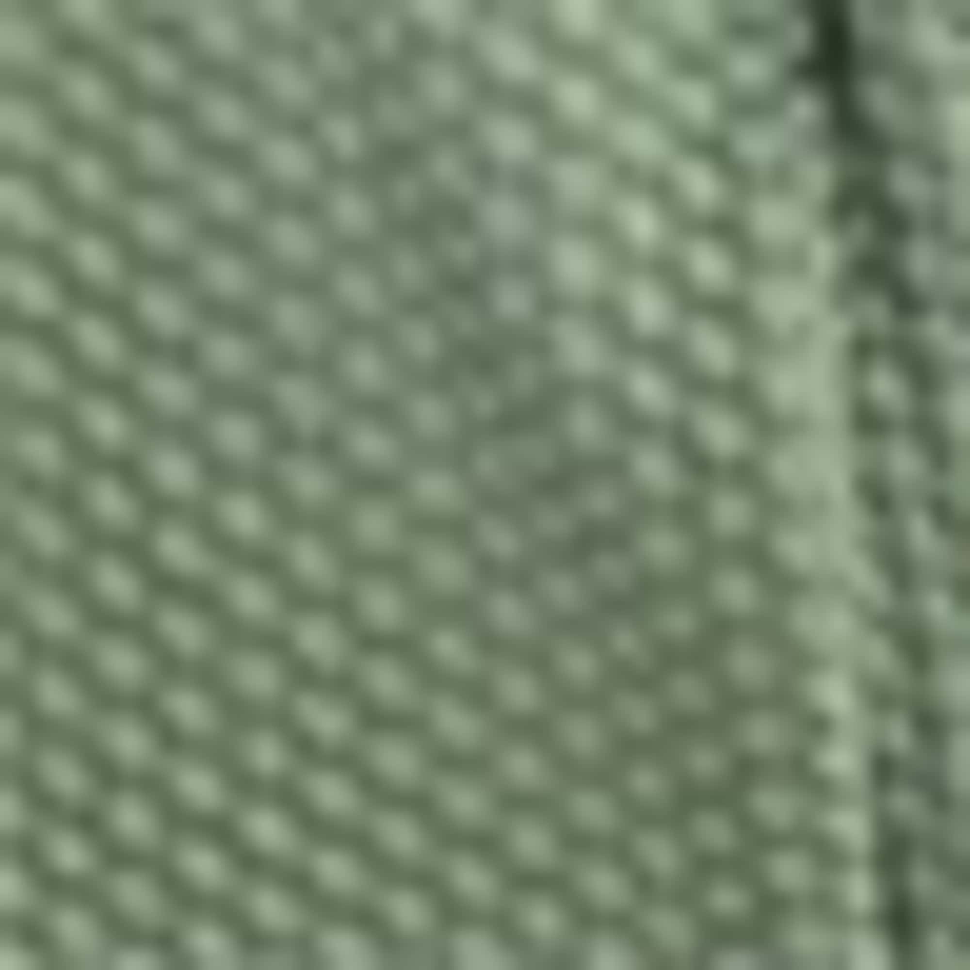 Shaping swimsuit - padded - LYCRA® XTRA LIFE™ light green