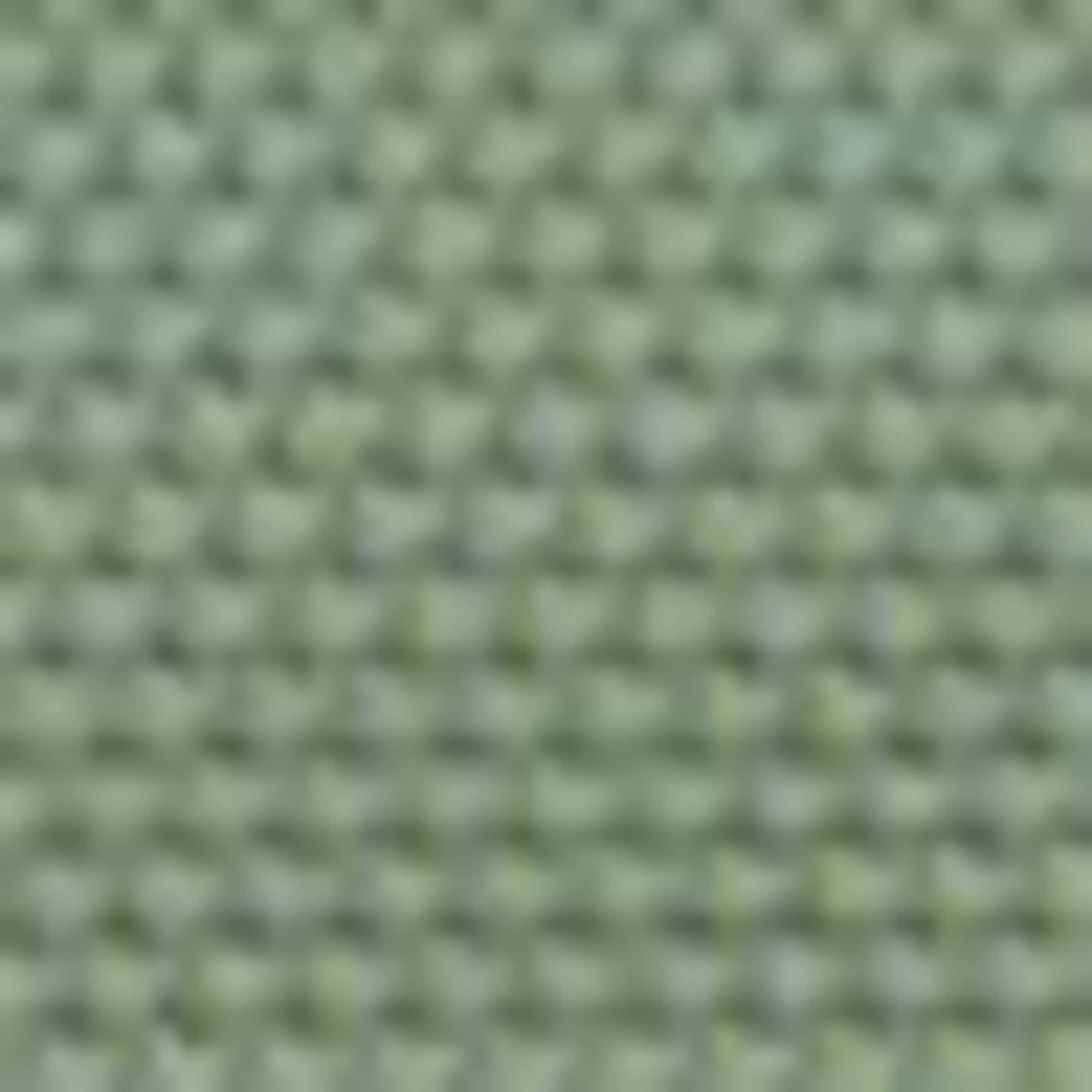 Bikini bottoms - mid-rise waist - LYCRA® XTRA LIFE™ green
