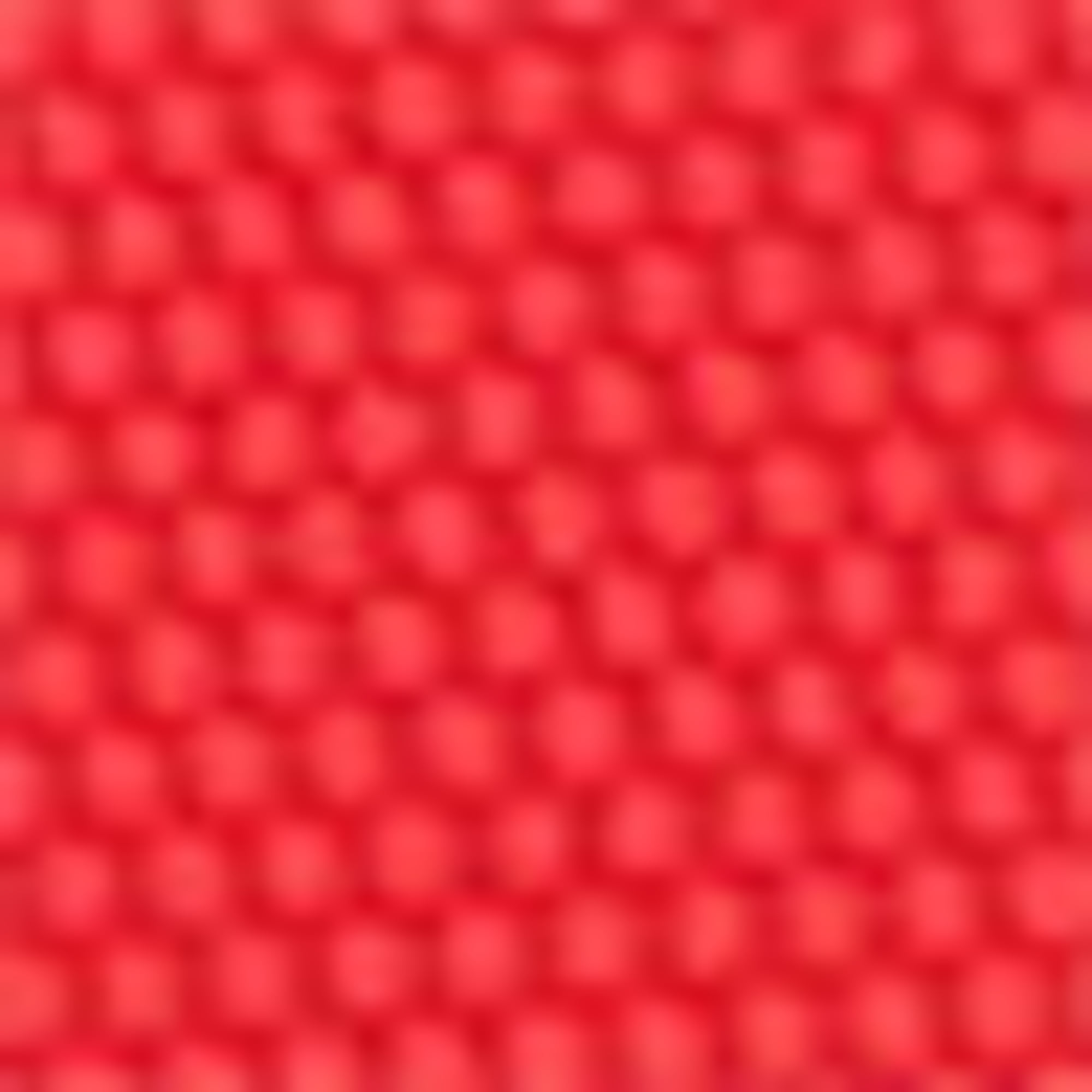 Bikini bottoms - high waist - LYCRA® XTRA LIFE™ - textured red