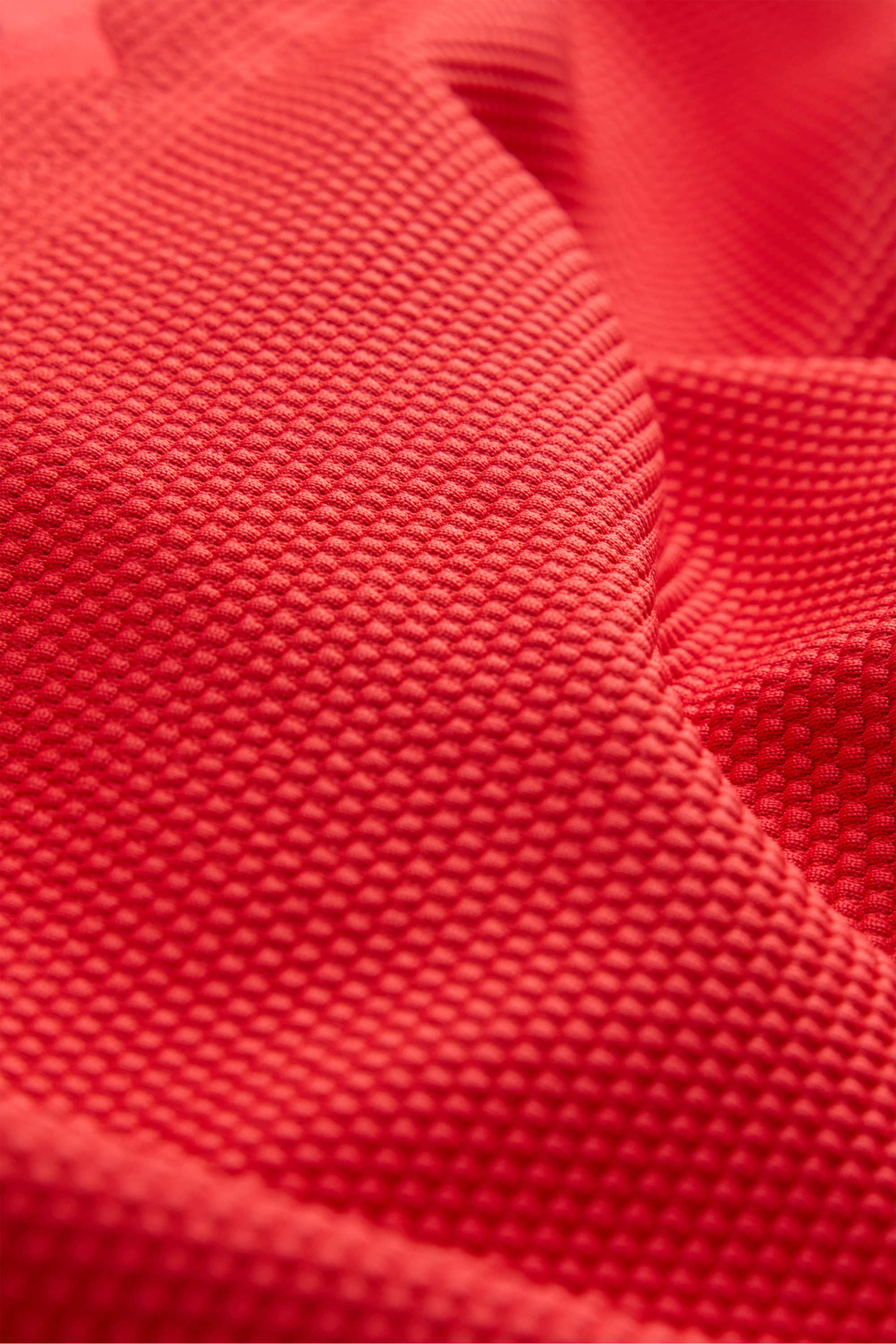Bikini bottoms - high waist - LYCRA® XTRA LIFE™ - textured red