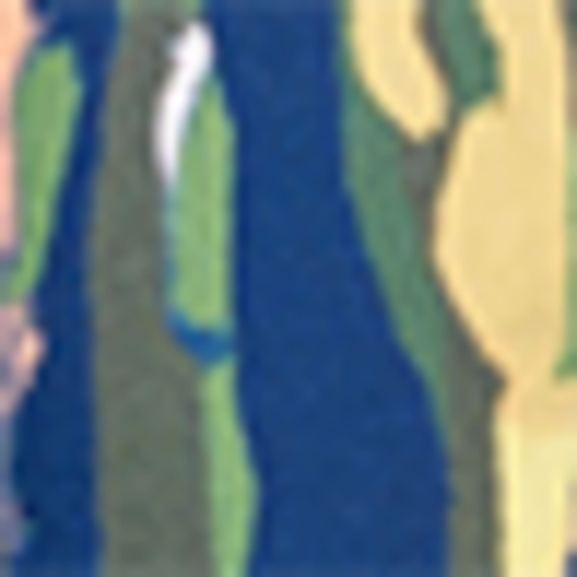 Swimsuit - padded - LYCRA® XTRA LIFE™ - floral dark blue