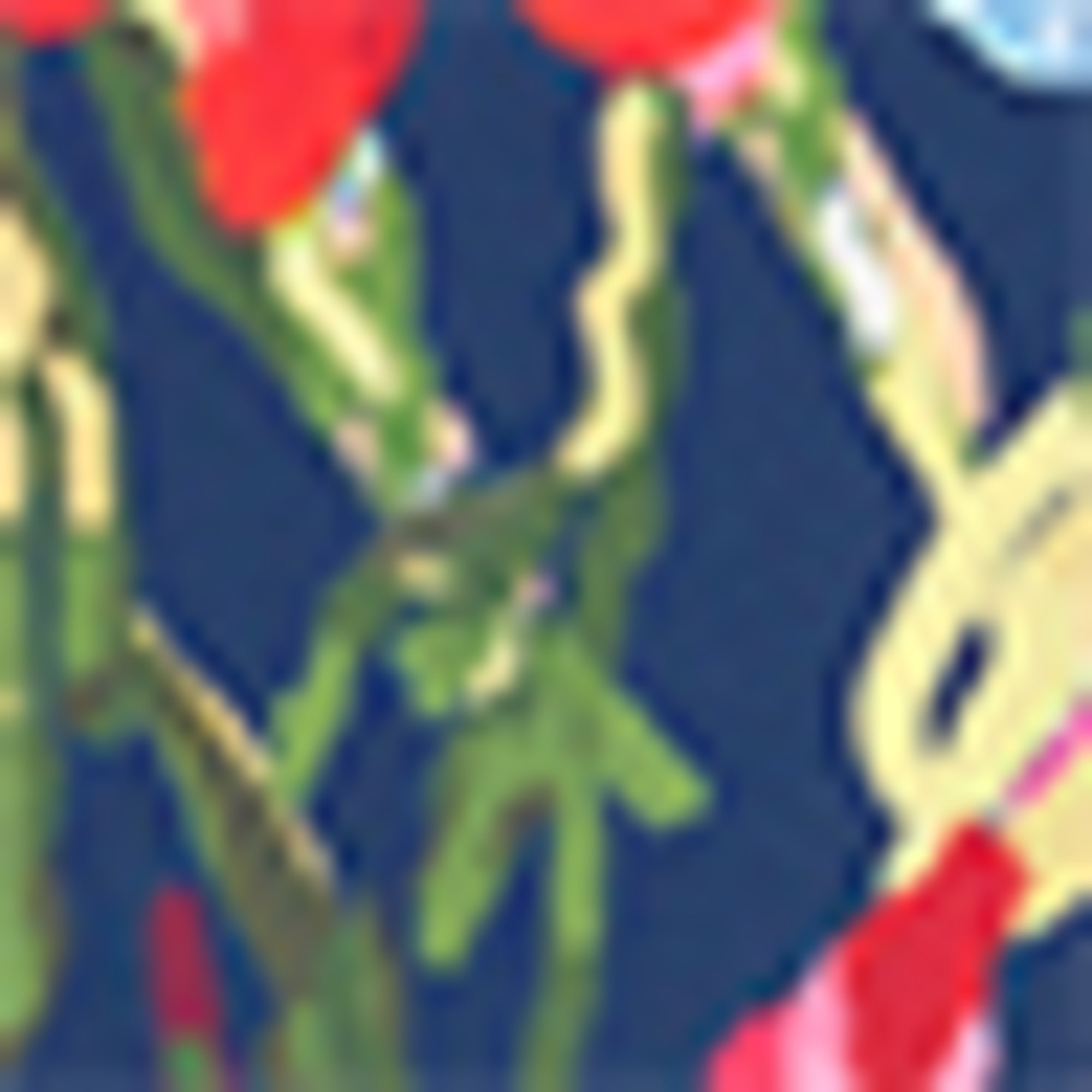Bikini bottoms - high waist - LYCRA® XTRA LIFE™ - floral dark blue