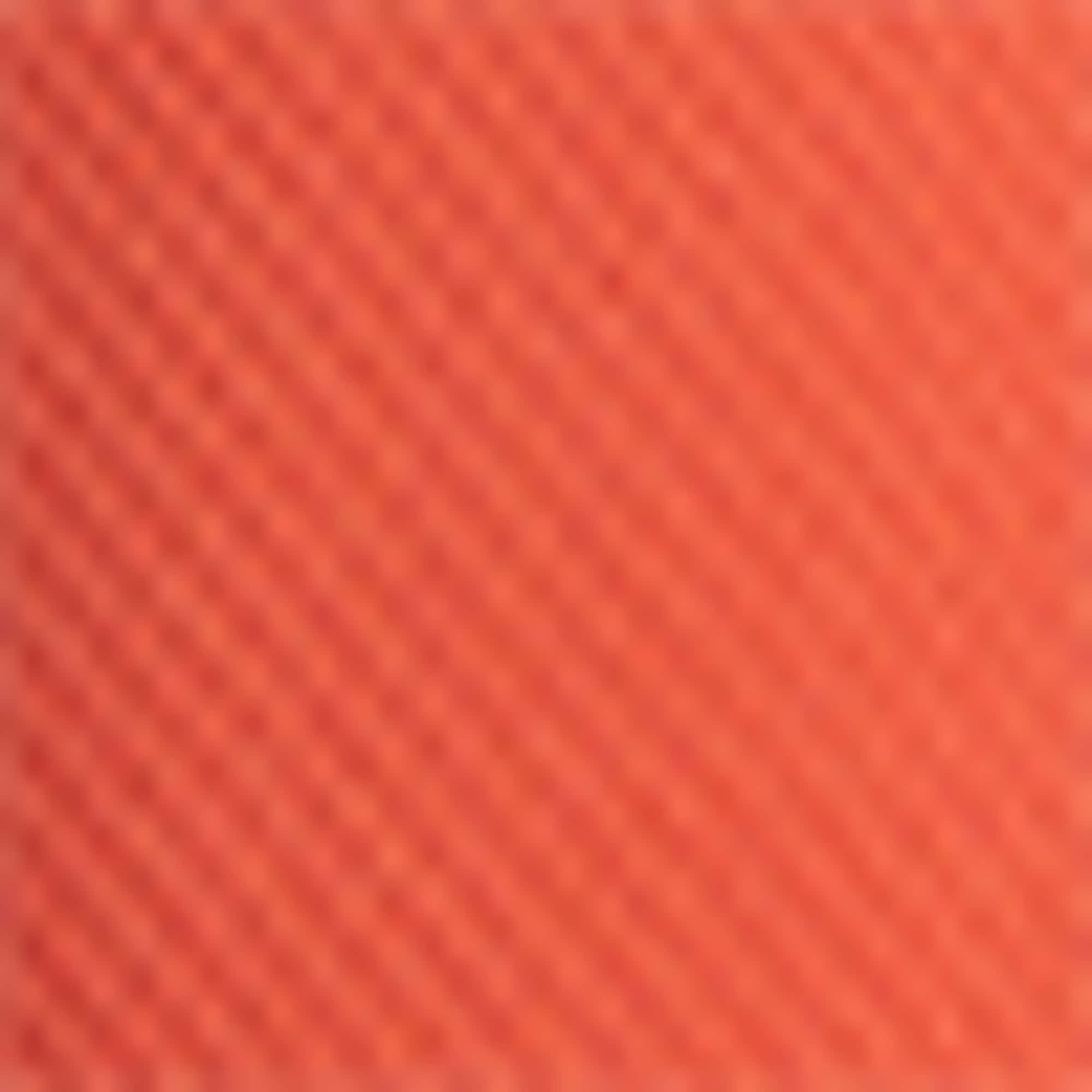 Short sleeve T-shirt multicoloured