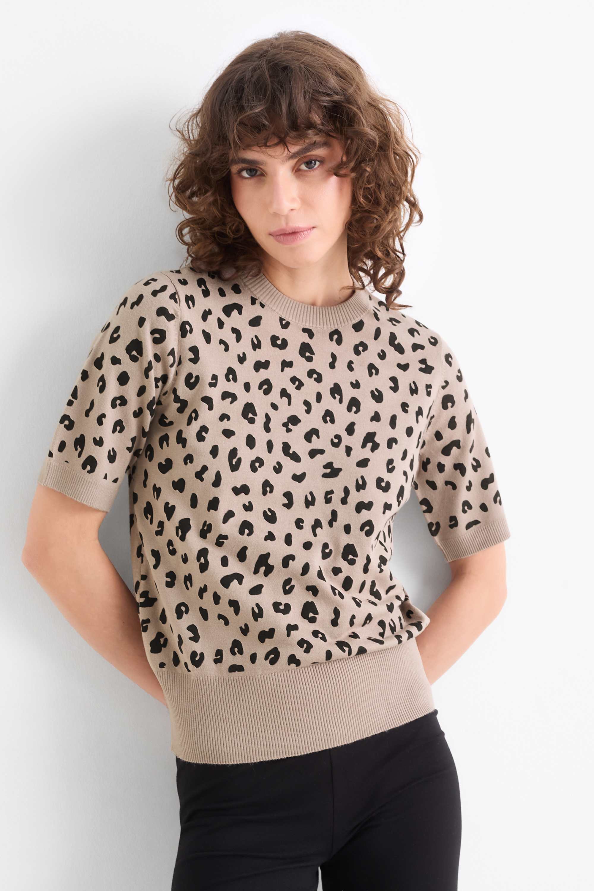 Knitted jumper - short sleeve - leopard print black / beige