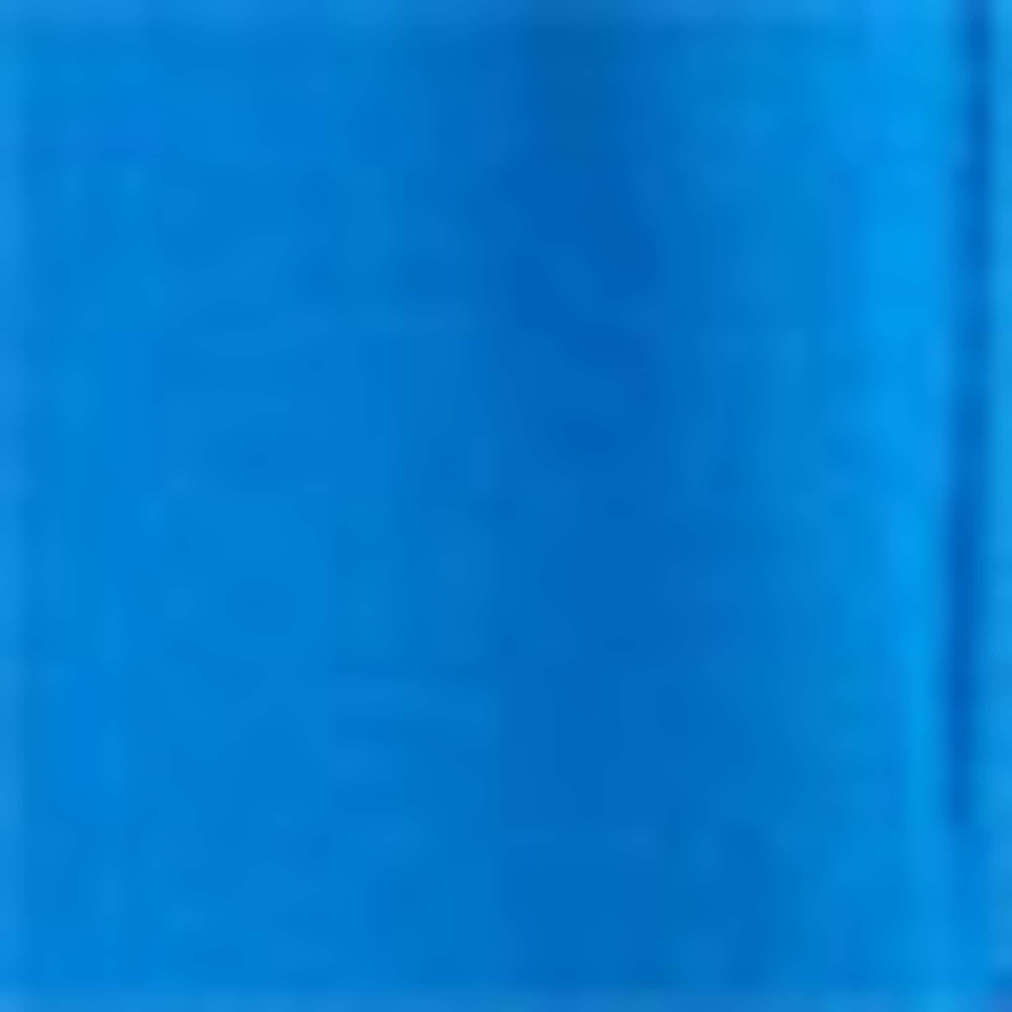 Multipack of 5 - sweat shorts blue