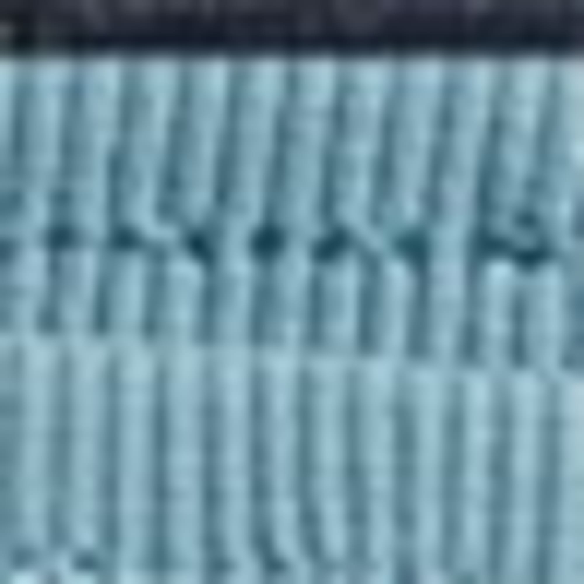 Multipack of 2 - animals - sweat shorts blue / light blue