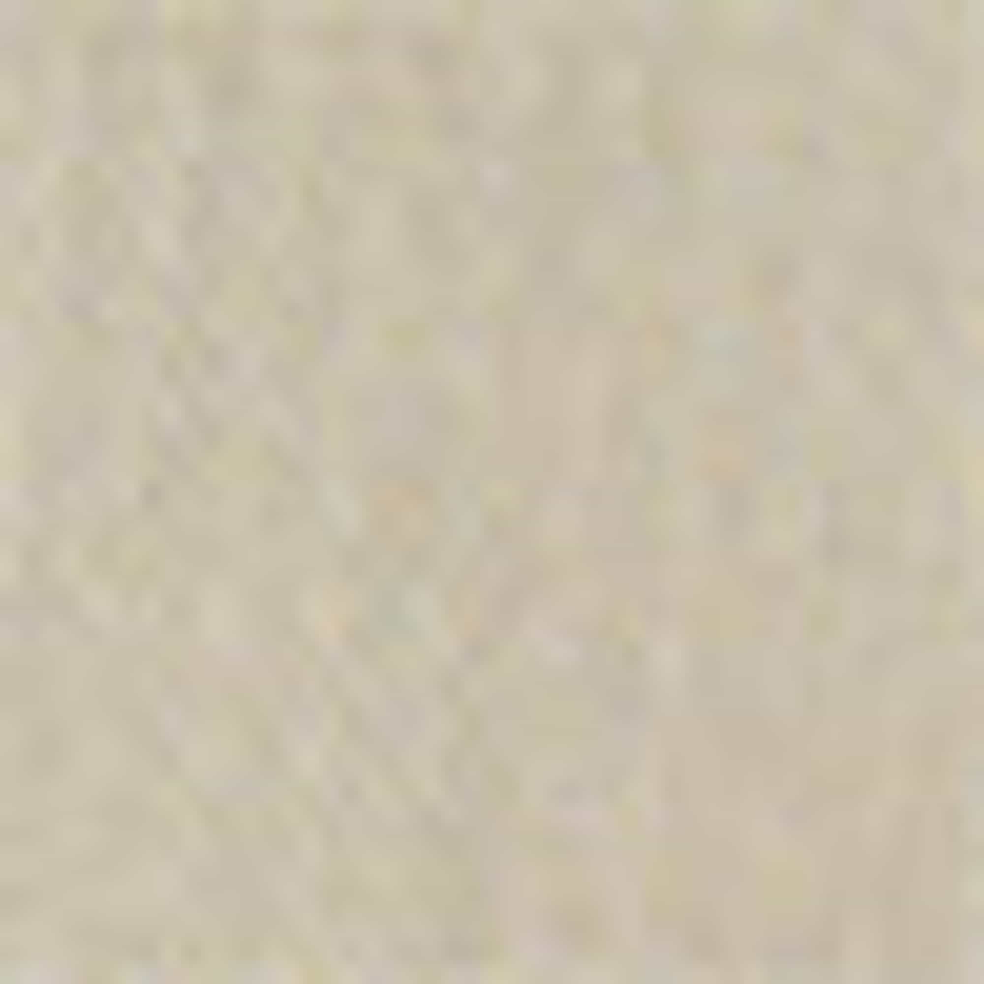 Bermuda shorts beige