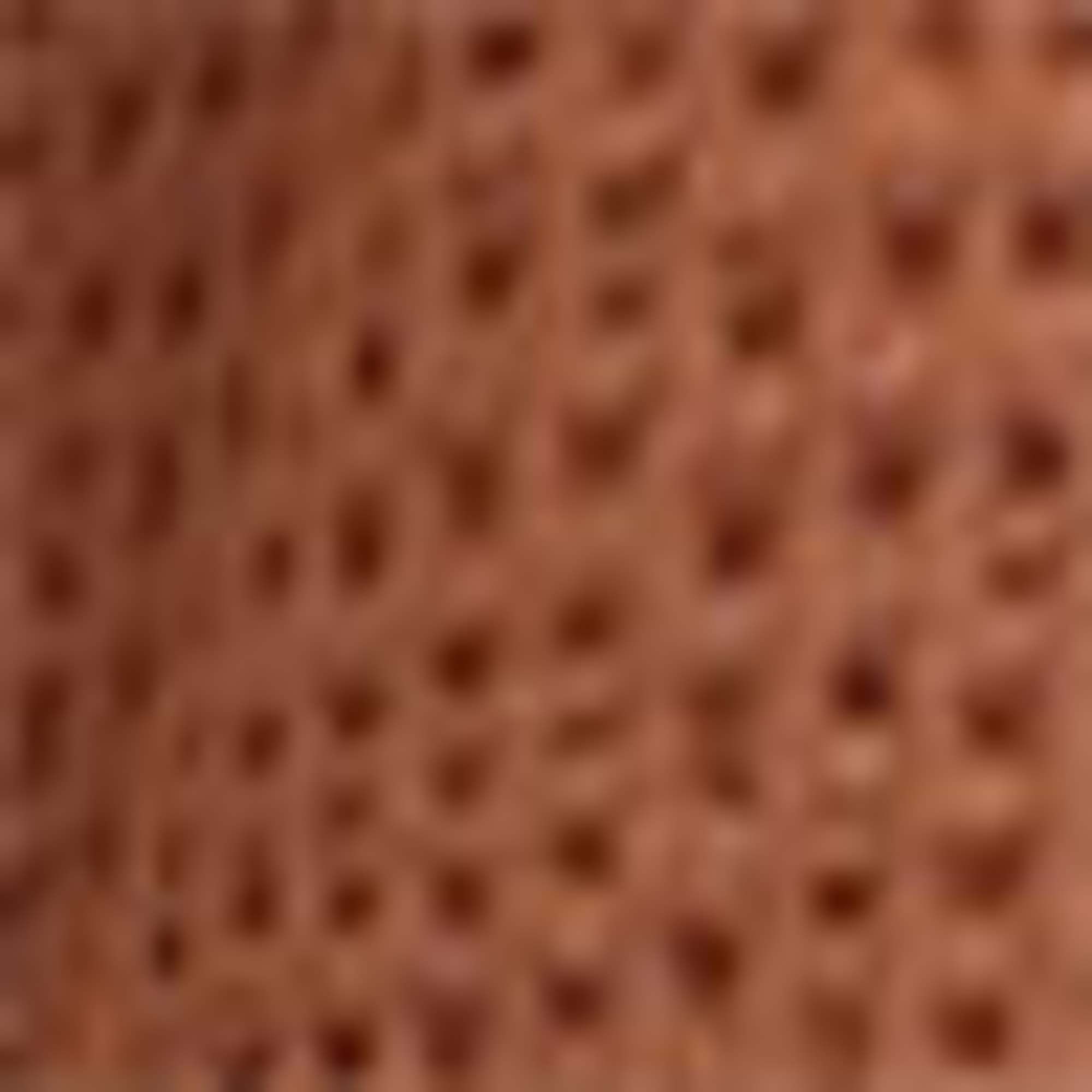 Sweat shorts - textured brown