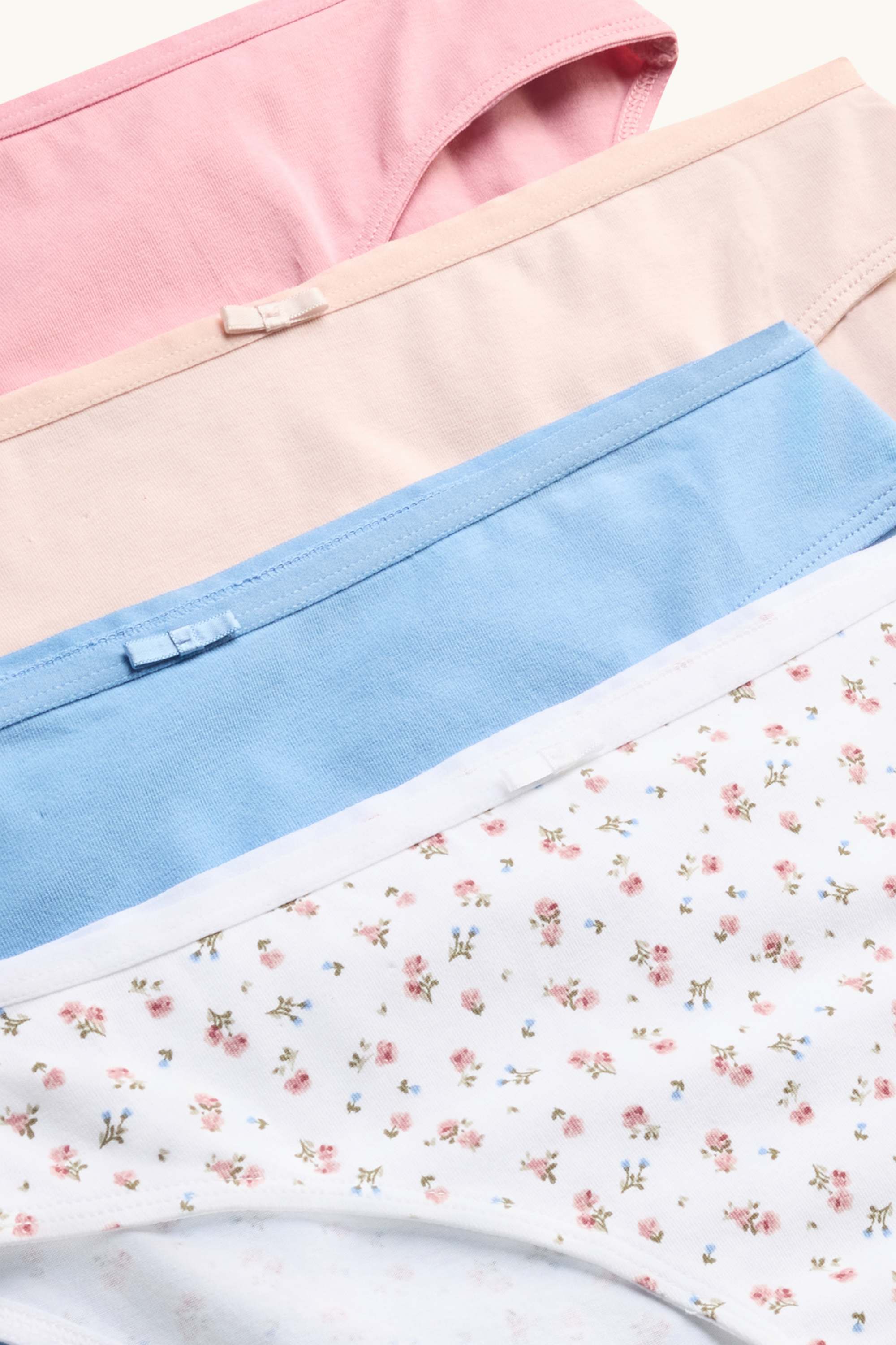 Multipack of 4 - knickers rose / blue