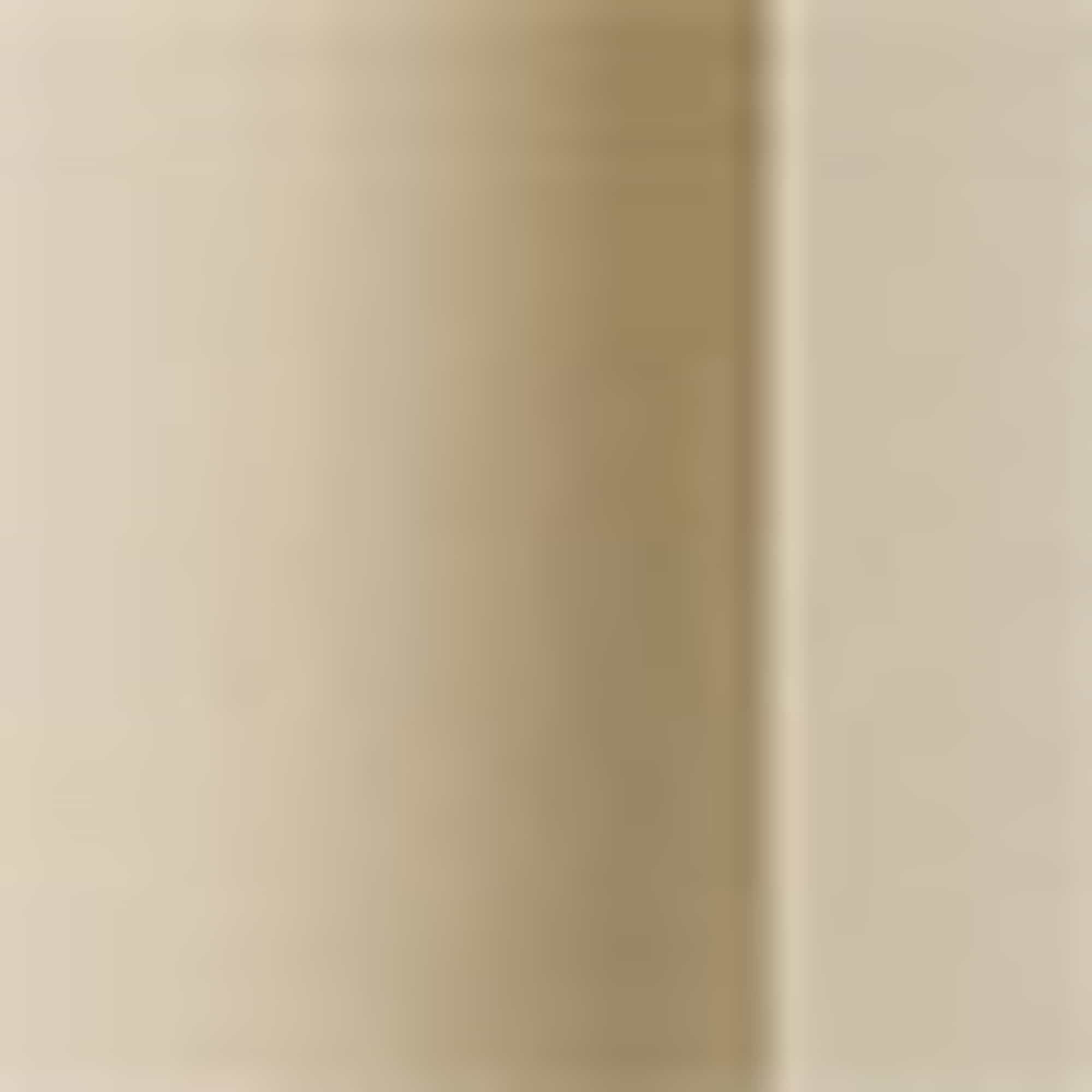 Cloth trousers - mid-rise waist - tapered leg white
