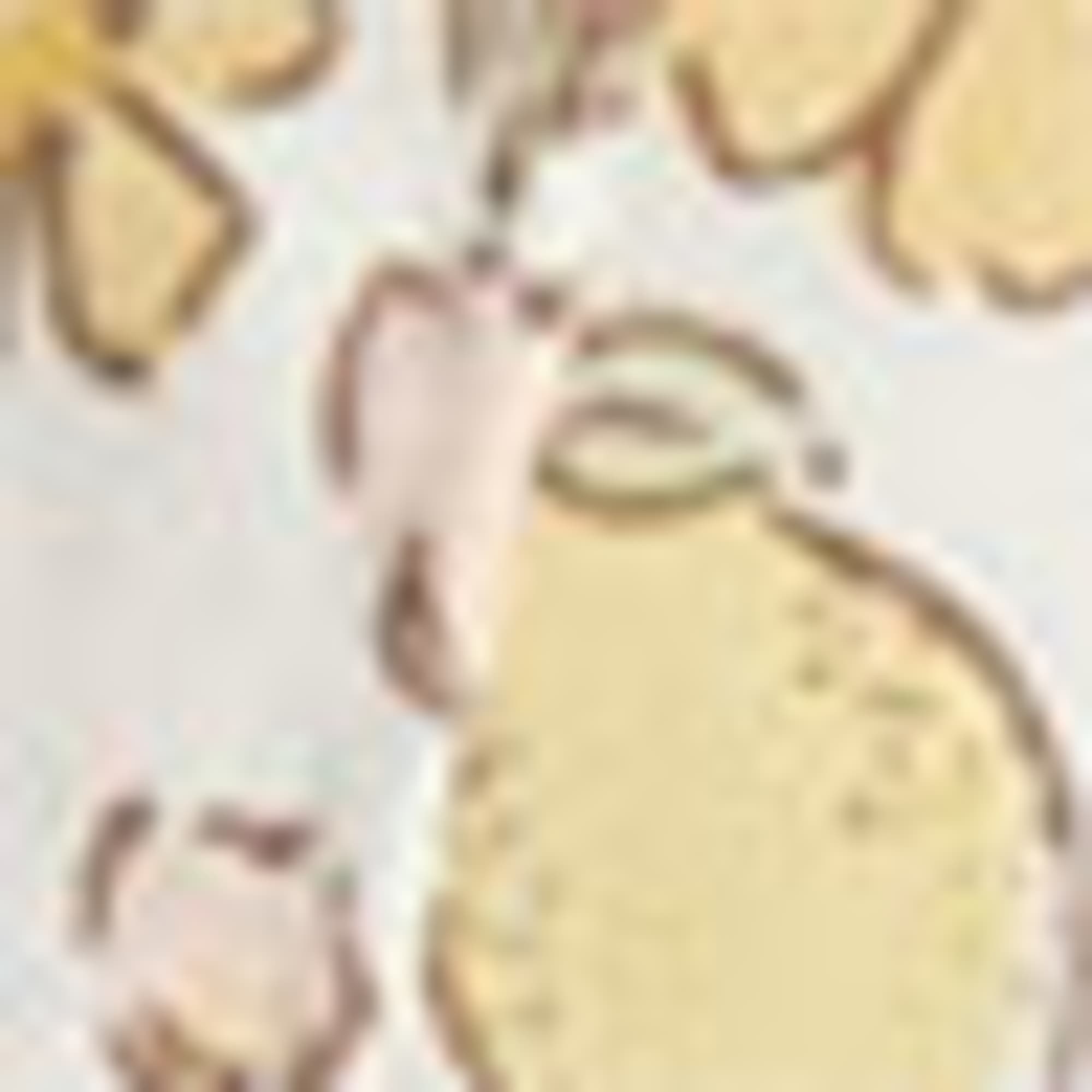 Flowers and lemons - baby hat creme