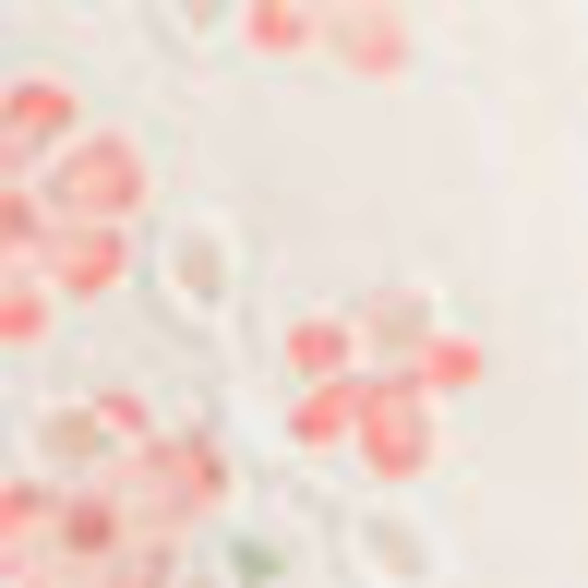 Floral - baby outfit - 2 piece - broderie anglaise white / rose