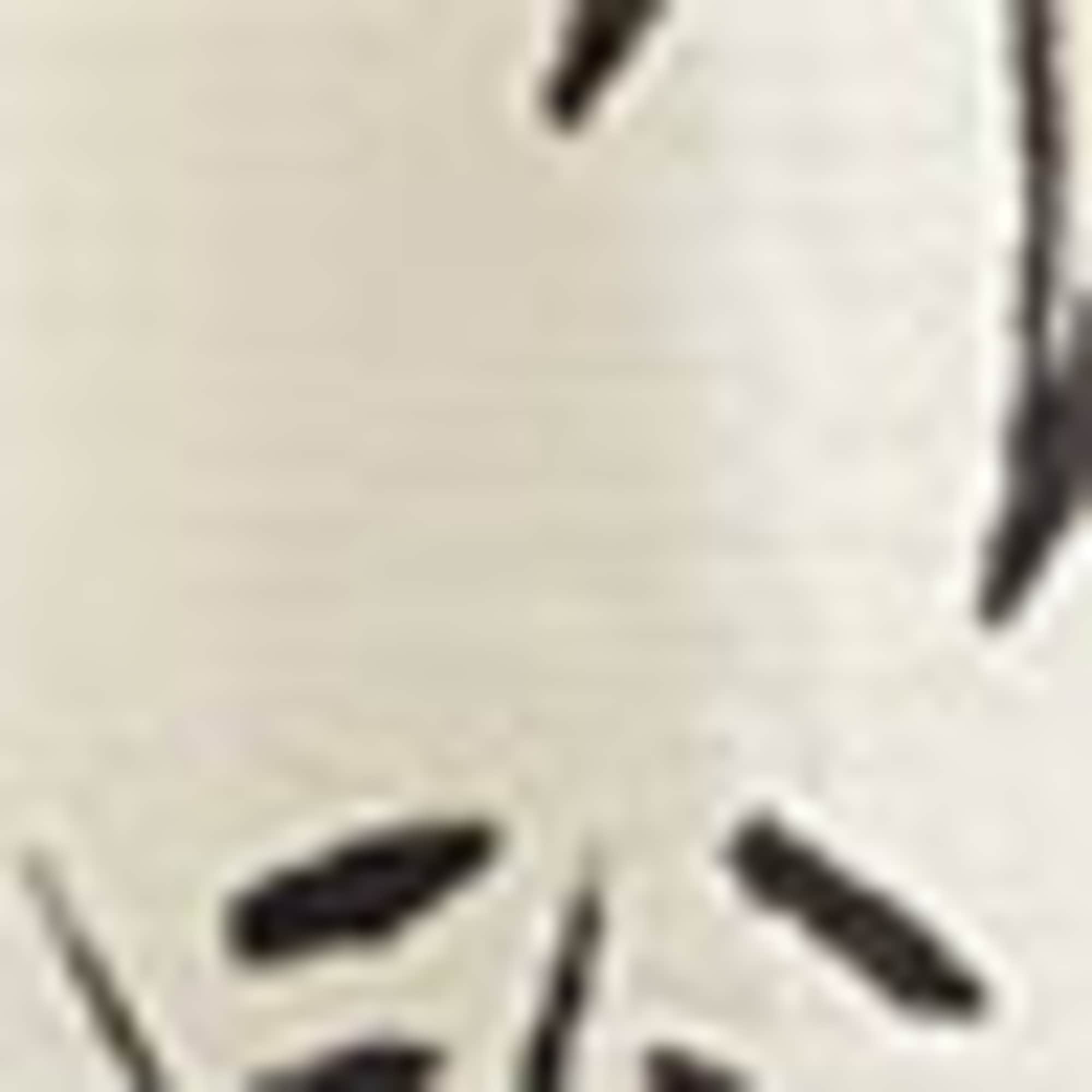 Kimono - patterned cremewhite