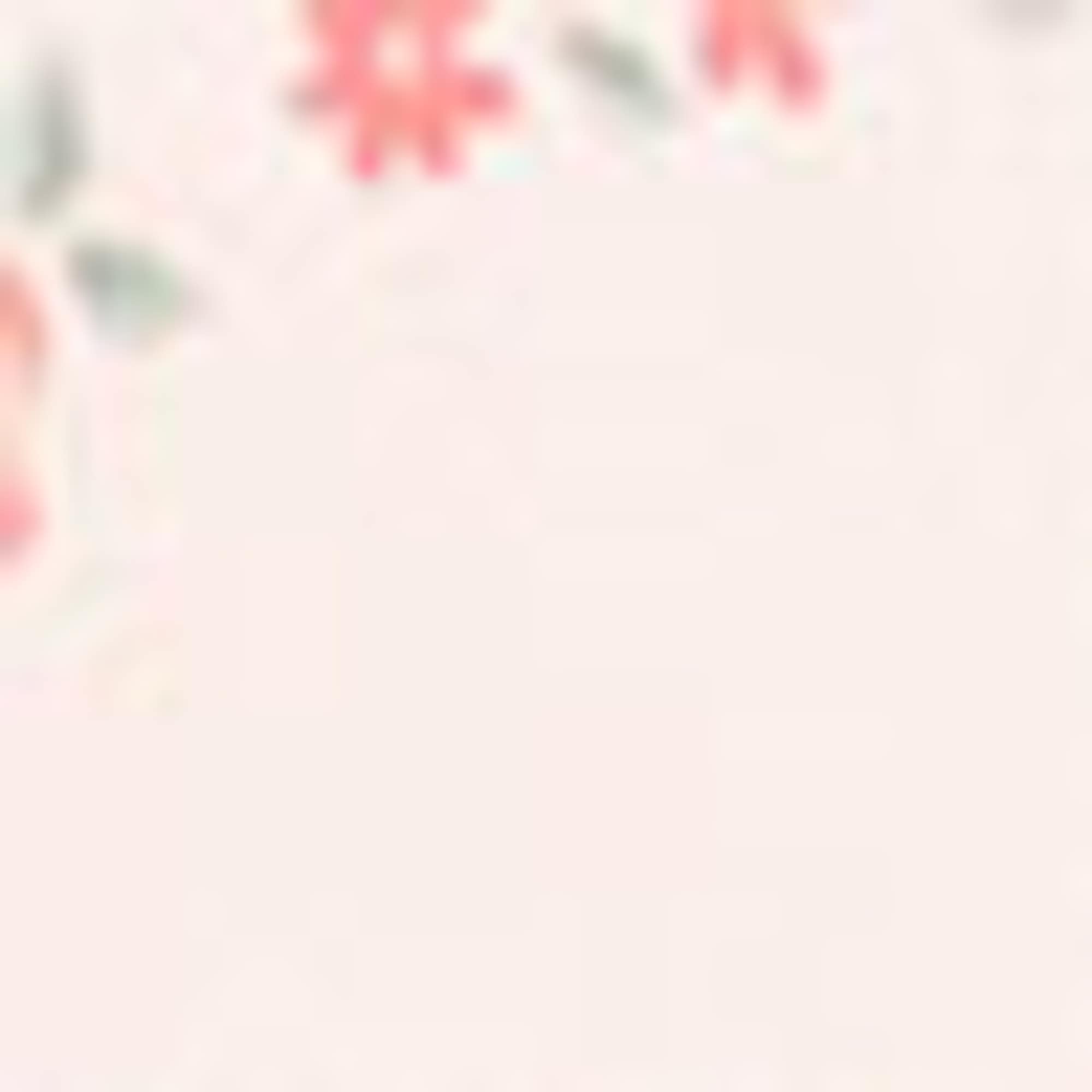 Multipack of 3 - little bird and flowers - baby bodysuit pink / rose