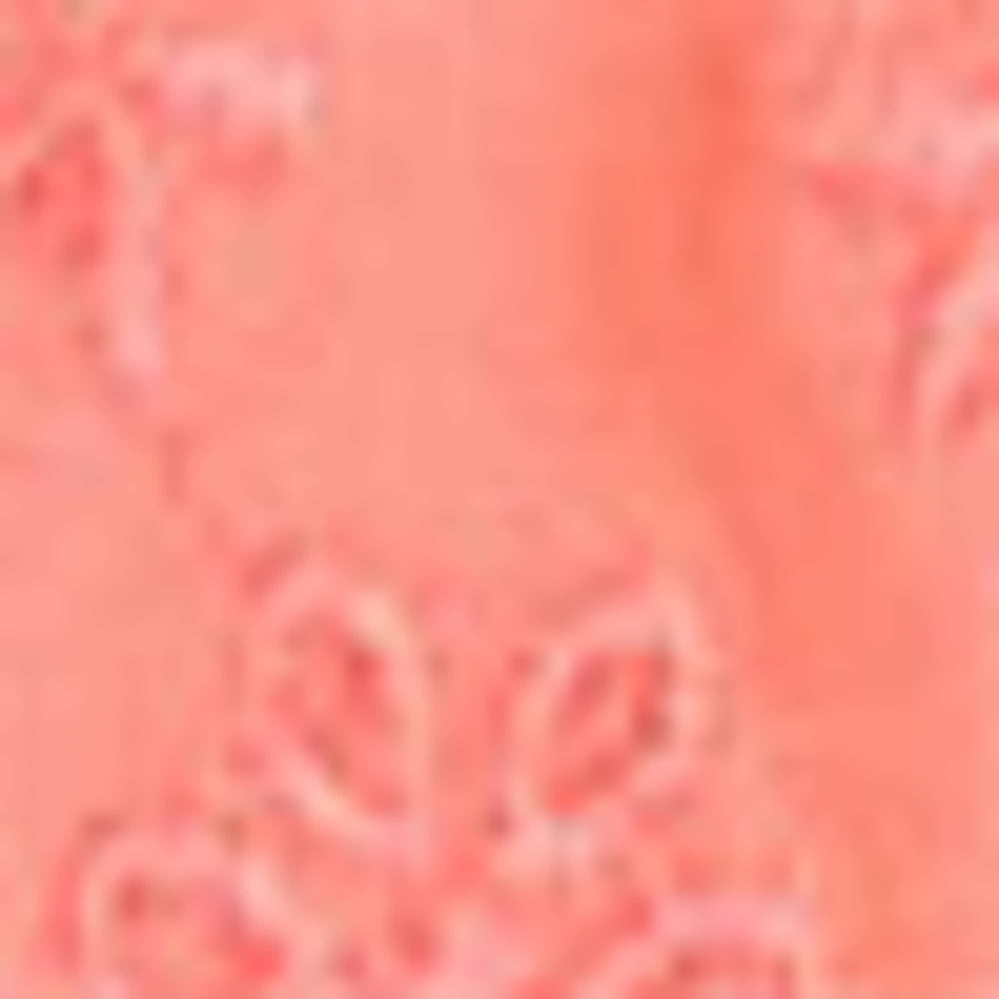 Baby shorts - broderie anglaise orange