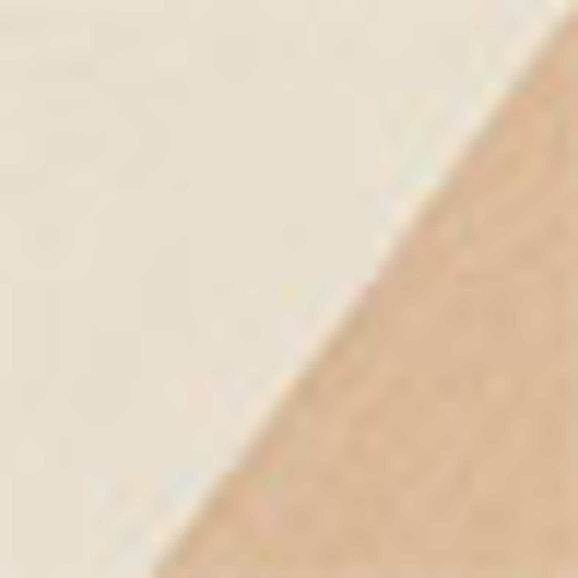 T-shirt - regular fit - striped light brown
