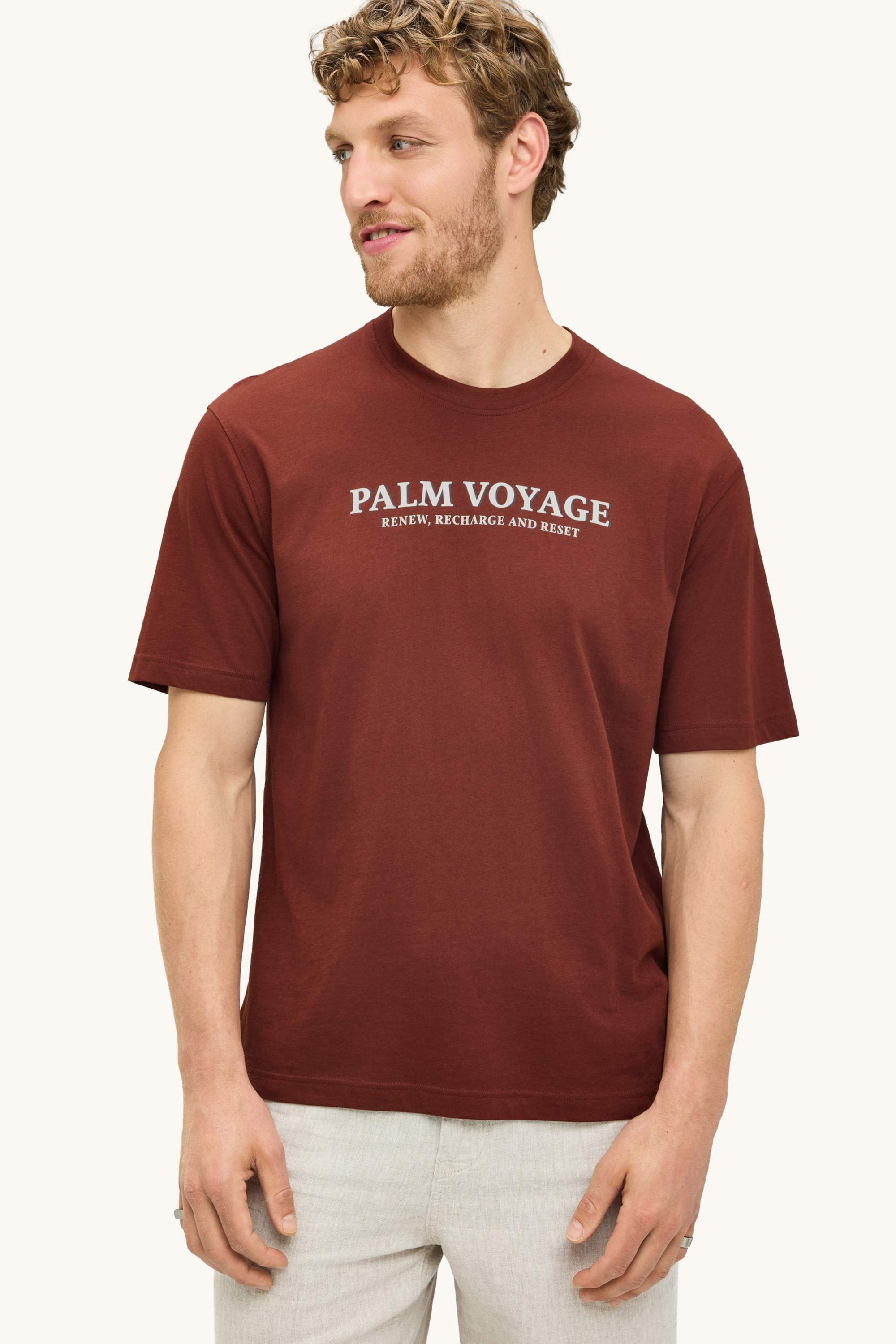 T-shirt - regular fit brown