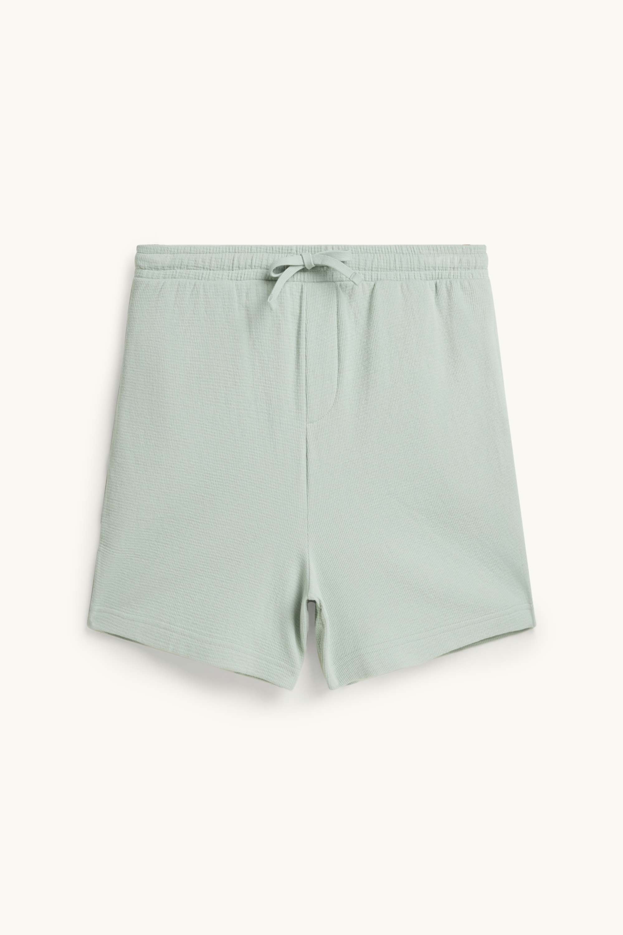 Sweat shorts - textured light green