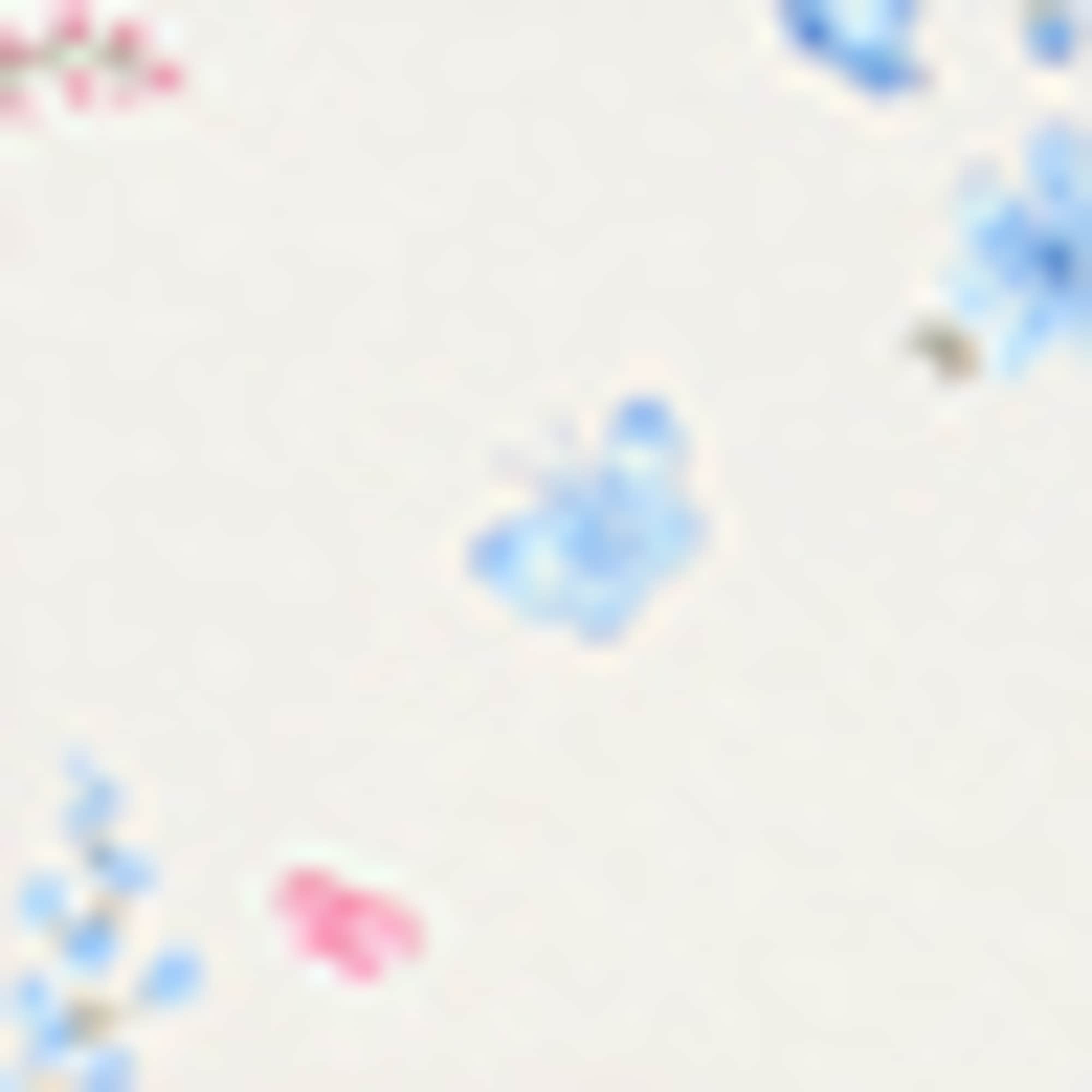 Multipack of 3 - flowers and butterflies - baby bodysuit rose / blue